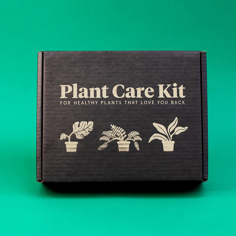 Kit d'entretien des plantes