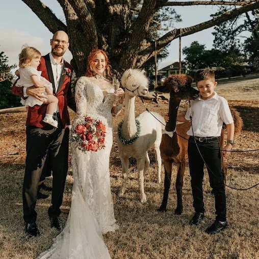 alpaca_kisses (30).jpg