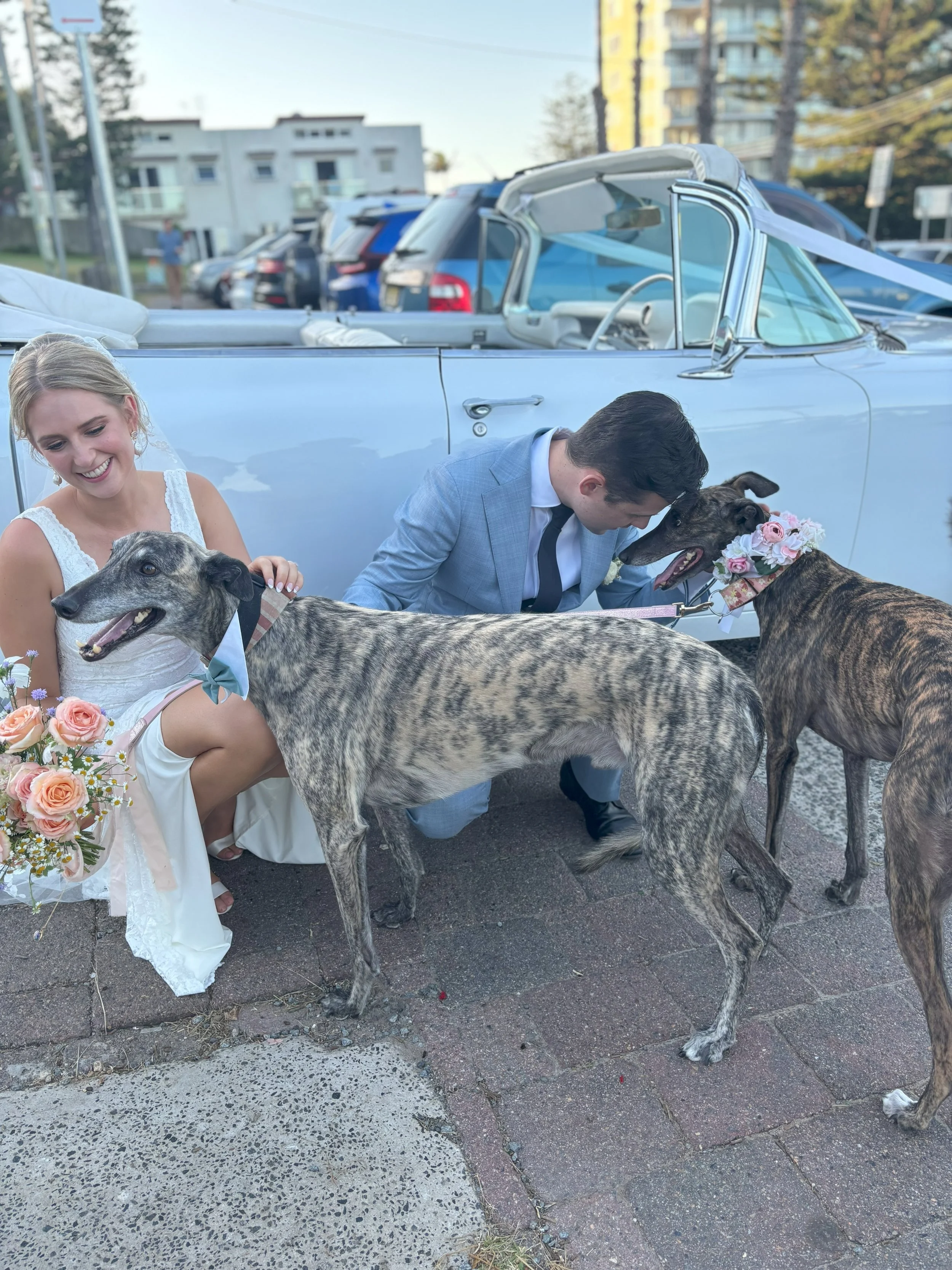 pawzandmeweddings (3).jpg