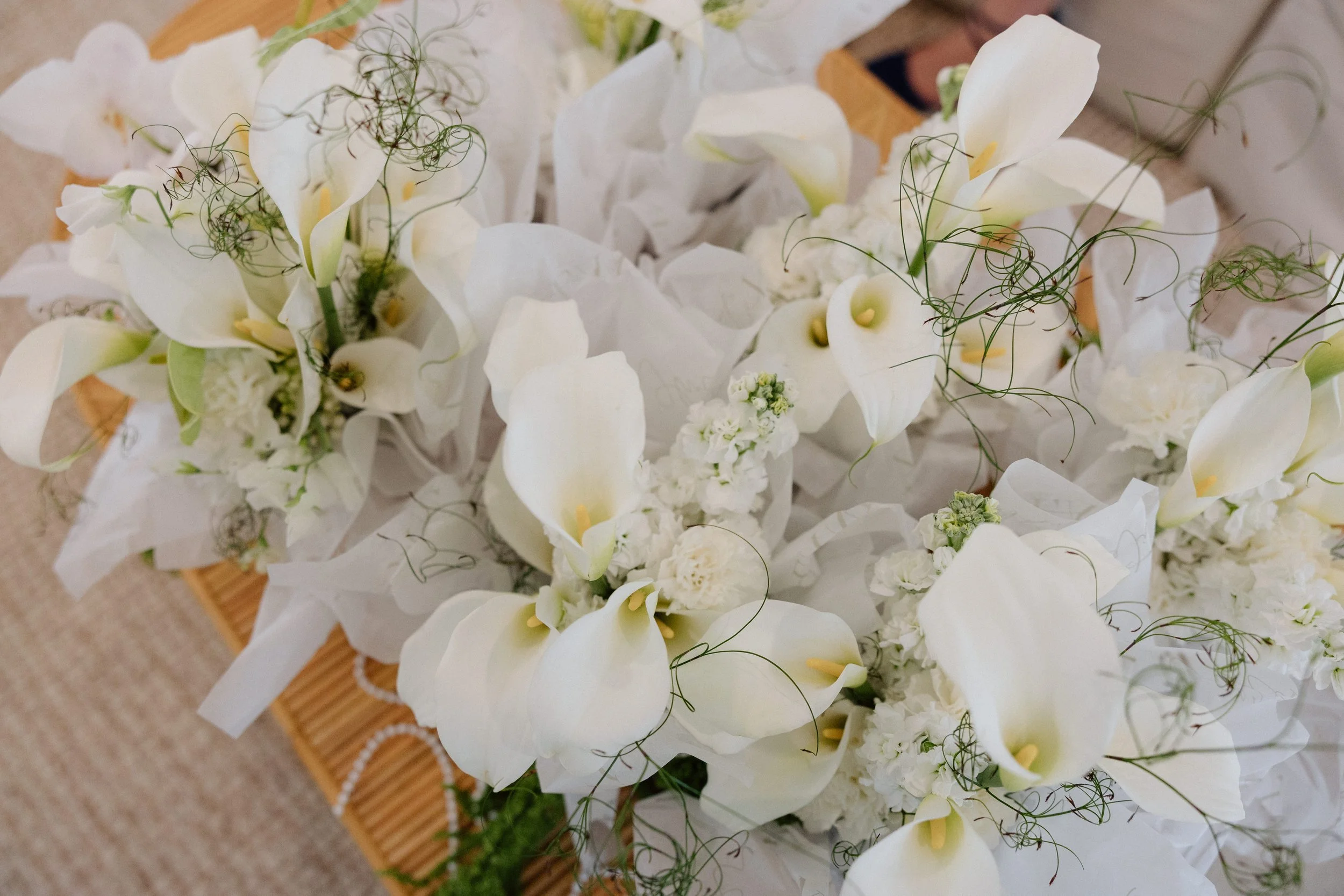 White Lane Events (2).jpg