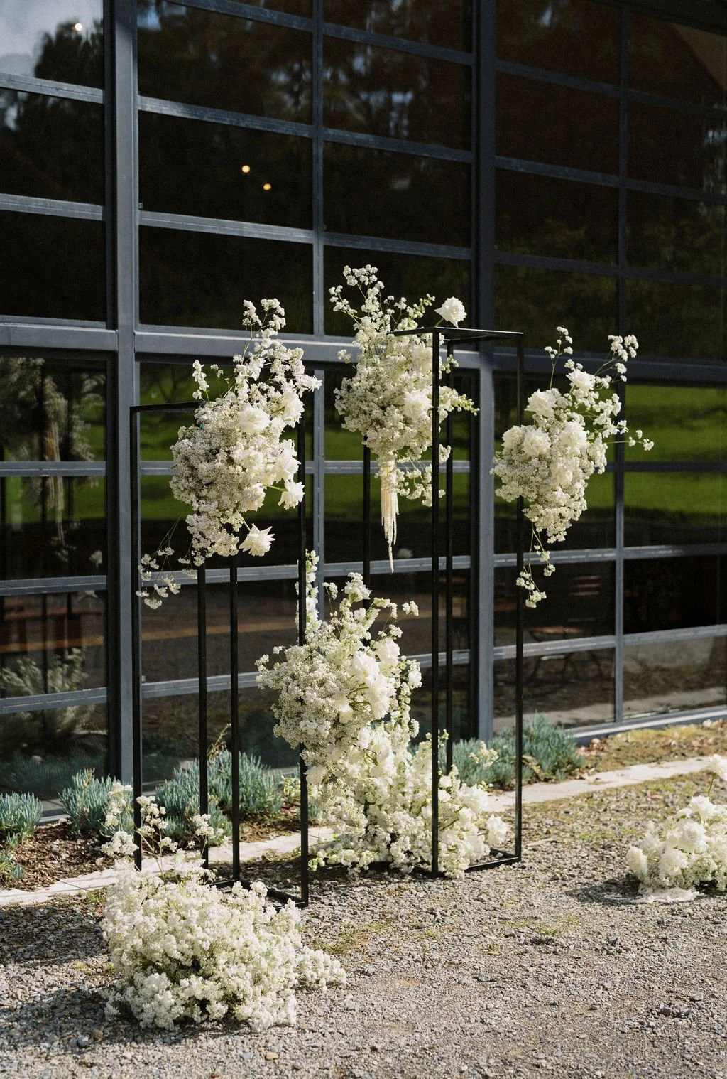 White Lane Events (11).jpg