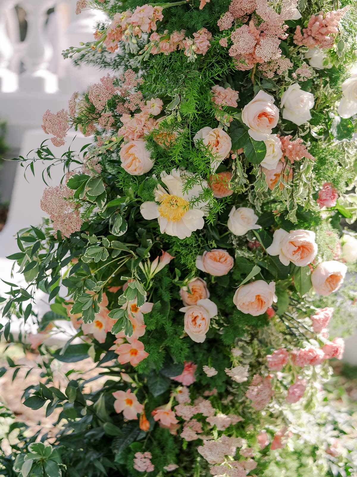 balee and nathan wedding-9688_websize.jpg