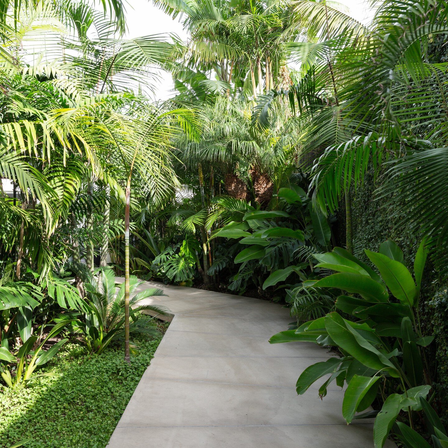 The renovation of this 90&rsquo;s masonry structure transformed this family home. 

The jungle-like arrival sets the scene for interiors which unfolds as a mix of natural stone, linen + leather textures, concrete floors, living brass finishes + soft 