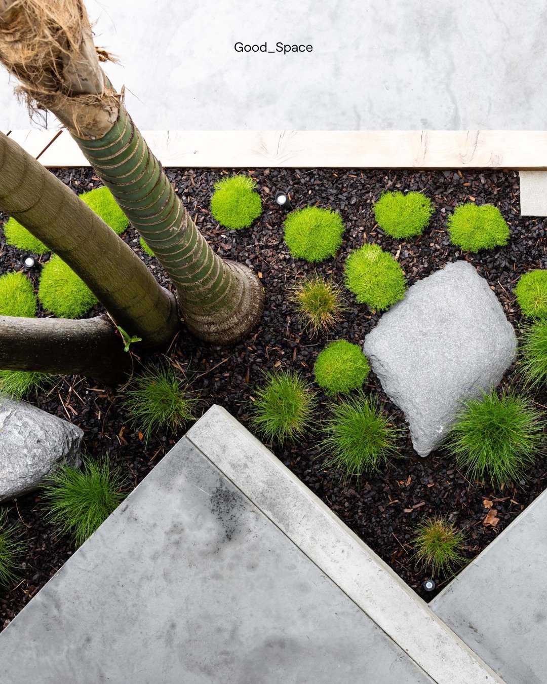 Constructed in 1982 by renowned Tai Chi master Patrick Kelly, Kenko Studios has been a hub of wellness for decades. Kenkō means &ldquo;health" + our ethos aligns so deeply with creating spaces that honour exactly that. 

Swipe to see our methodo