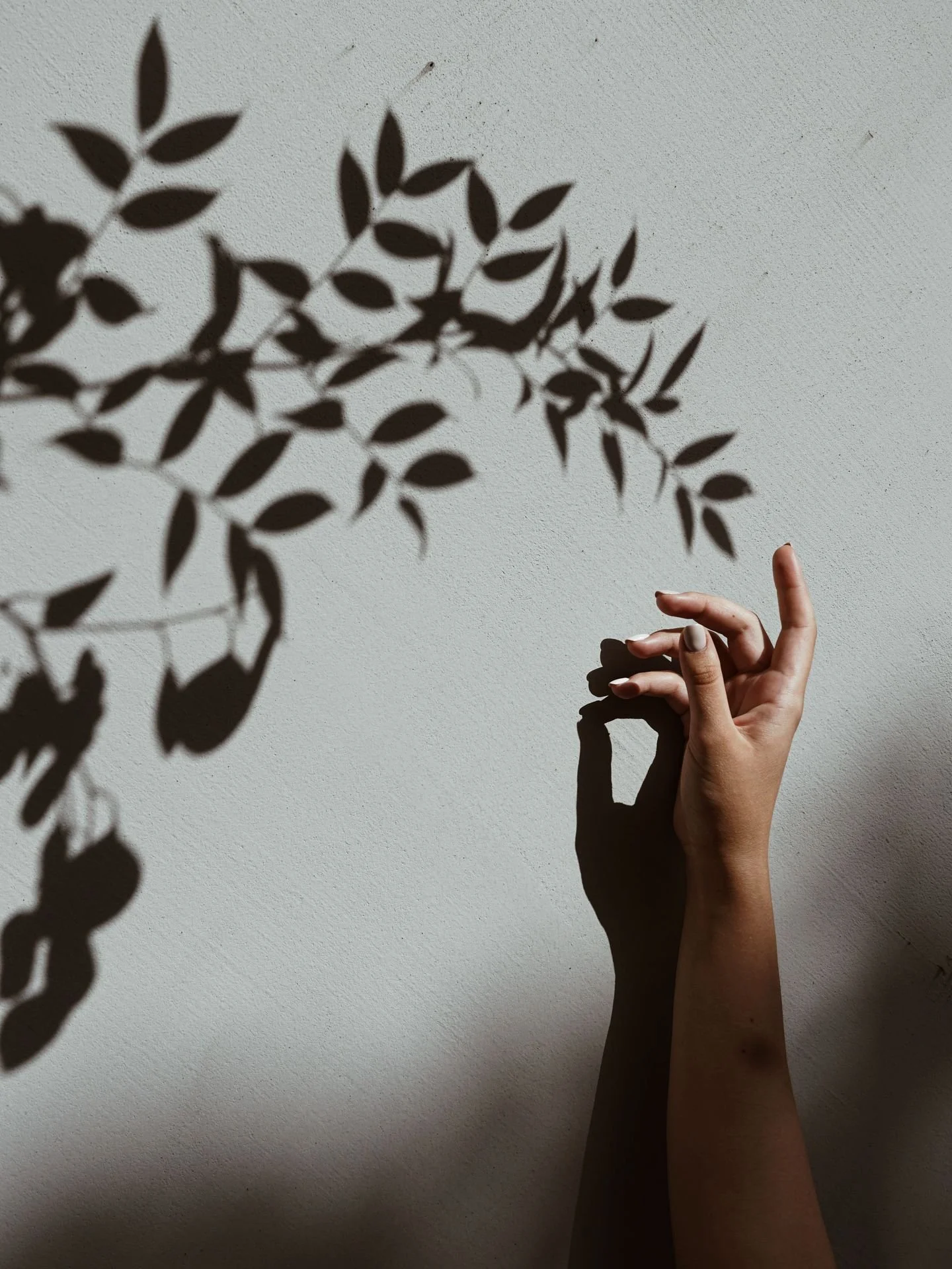 We didn't evolve to live disconnected from nature. 

When we bring natural elements into our spaces: living plants, natural light + organic materials, our stress drops, our focus sharpens + our bodies remember how to regulate. What's one space in you