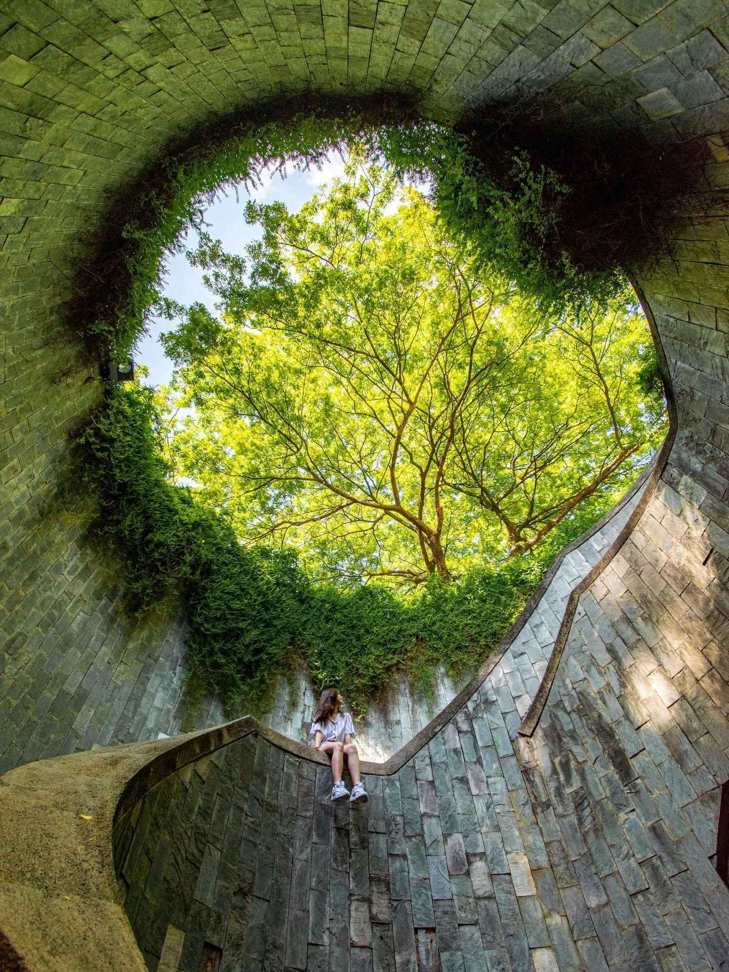 When did we decide to lock nature out of our spaces?

Somewhere along the way, our designs started starving us of what our bodies actually need. Biophilic design gives us an intentional + integrated framework, a connection to the outside world. Welln