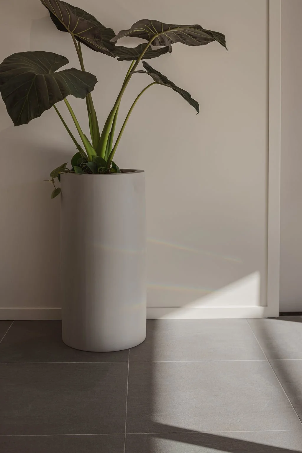REMUERA009.jpg