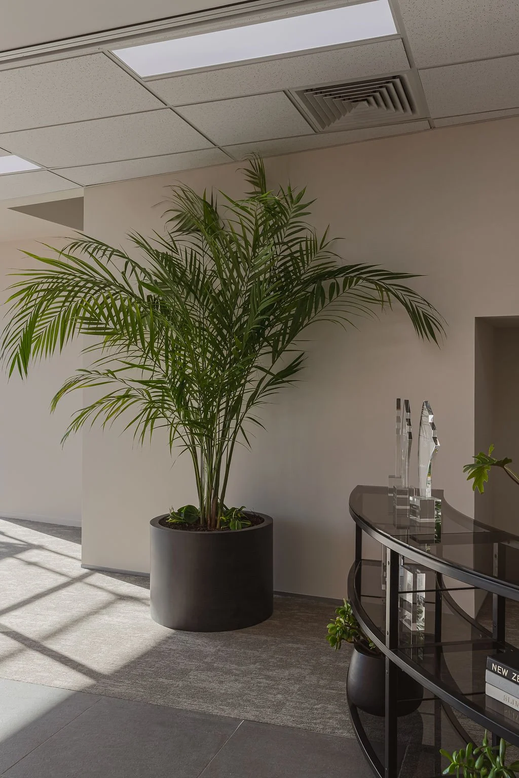 REMUERA011.jpg