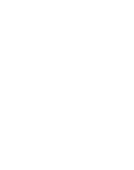 HUGO MAES