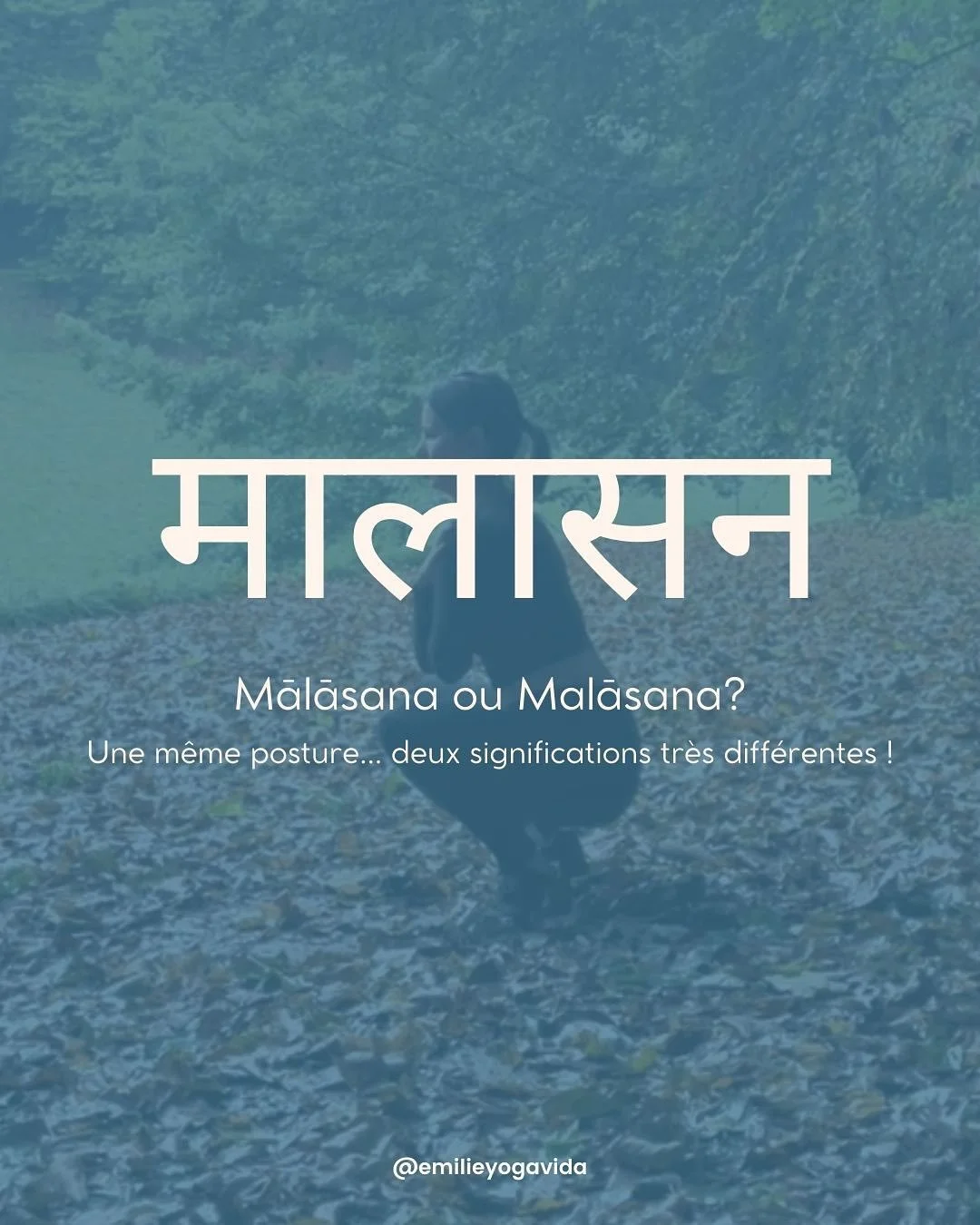 Une seule lettre vous manque et&hellip; (quand l&rsquo;&eacute;tymologie devient romantique ;)

Saviez-vous que Mālāsana peut vouloir dire la posture de la guirlande 🌸 &hellip; ou la posture du 💩 selon la longueur d&rsquo;une voyelle en sanskrit ?

