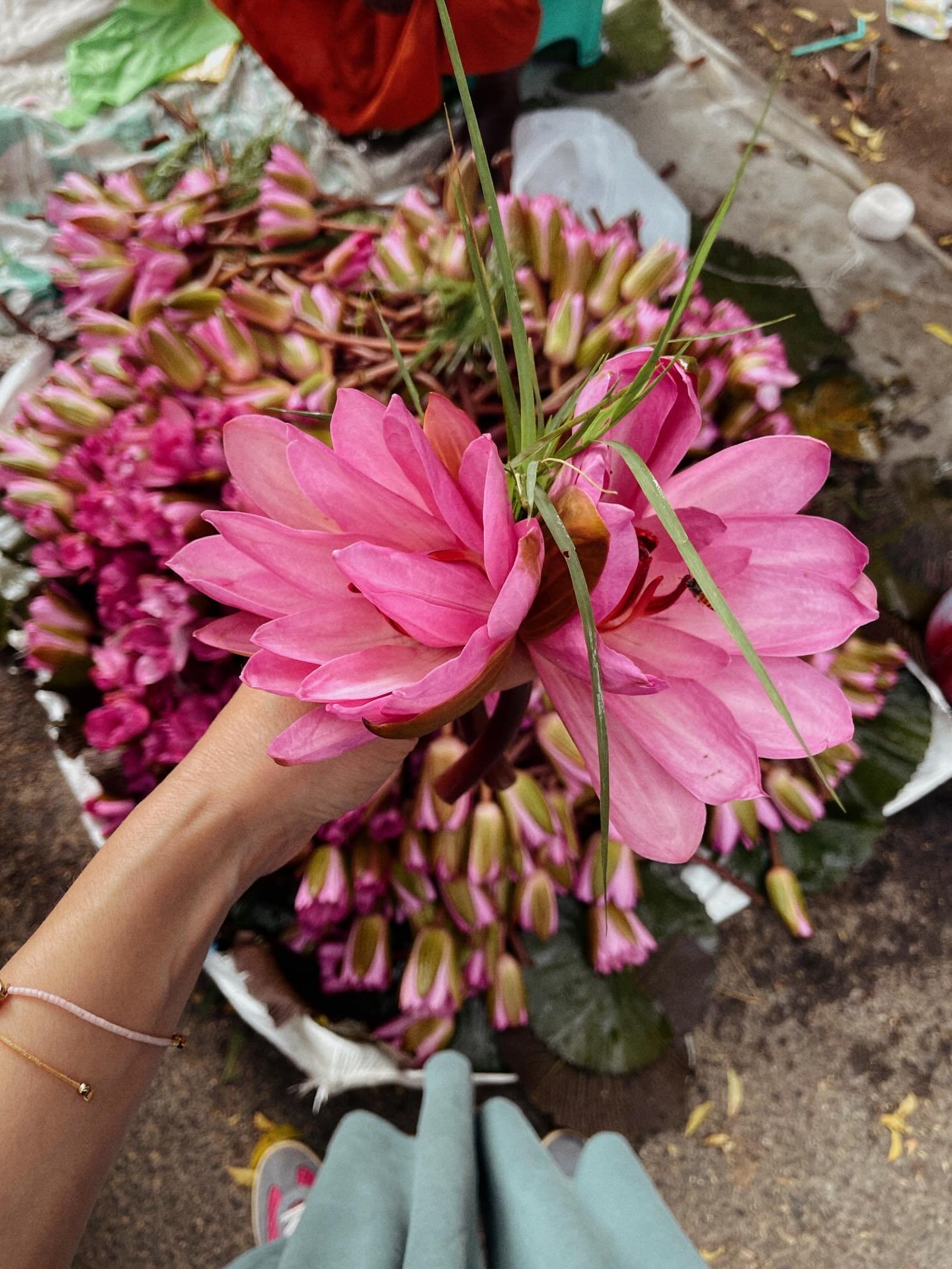 Ce matin du 1er janvier 2026, &agrave; Pondich&eacute;ry, nous n&rsquo;avons pas r&eacute;ussi &agrave; entrer dans le temple de Ganesh.
&Agrave; 6h, d&egrave;s le lever du soleil, la file d&rsquo;attente &eacute;tait d&eacute;j&agrave; longue.

Gane