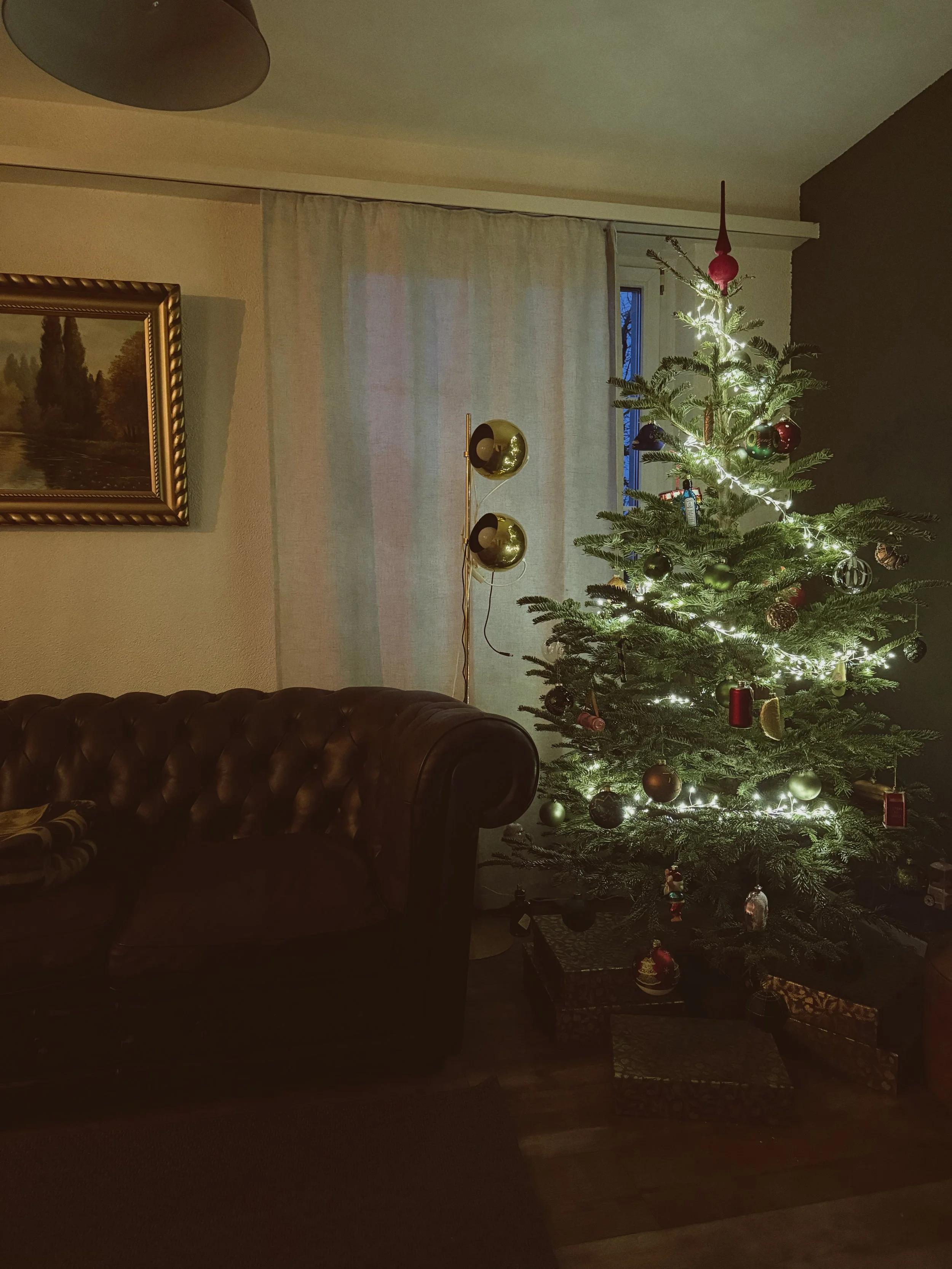 Weekly Recap - End of December