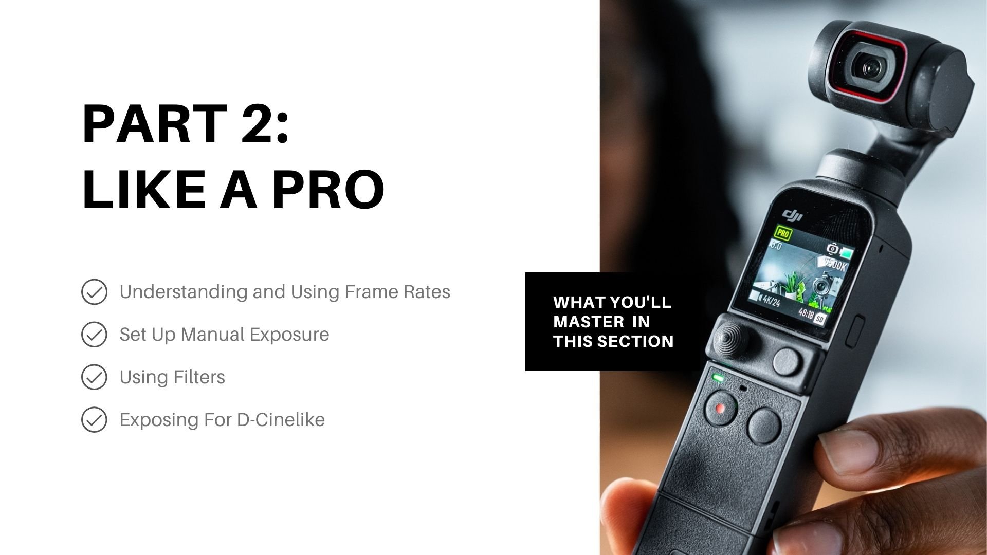 p2 from beginner to pro a complete guide page19 THUMB.jpeg