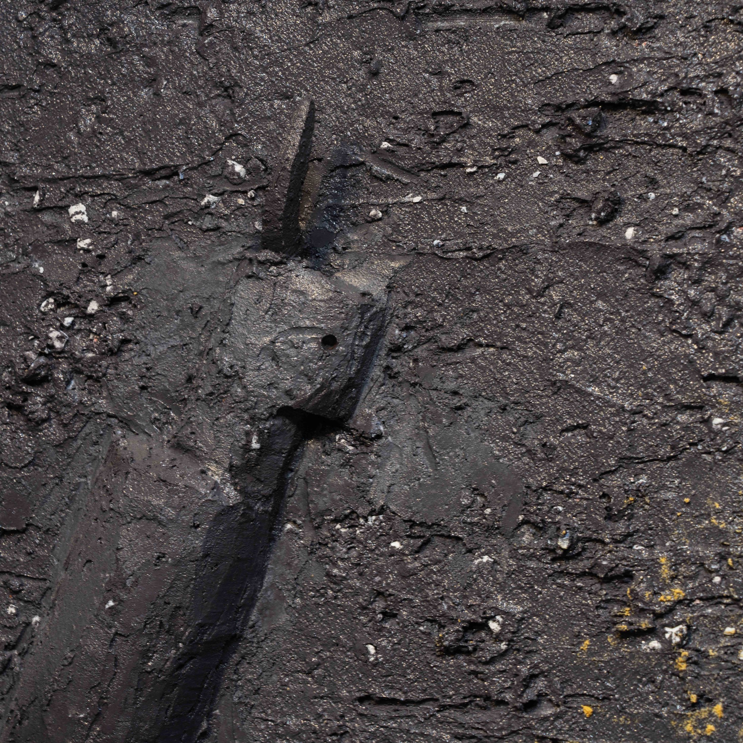 BD-20260218-07334.jpg