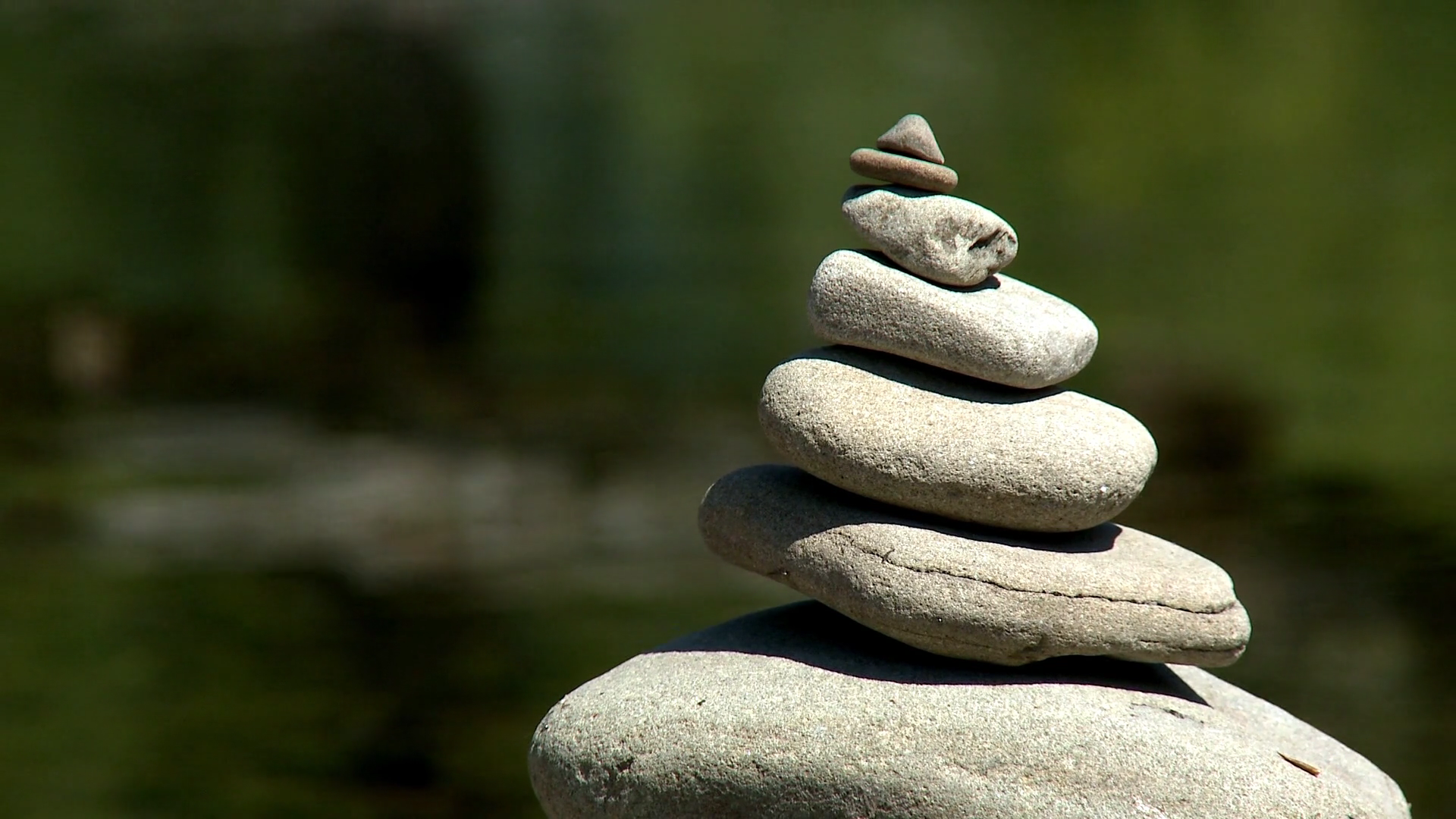 Balancing Hormones from Within: Exposing the Gut Microbiome's Role