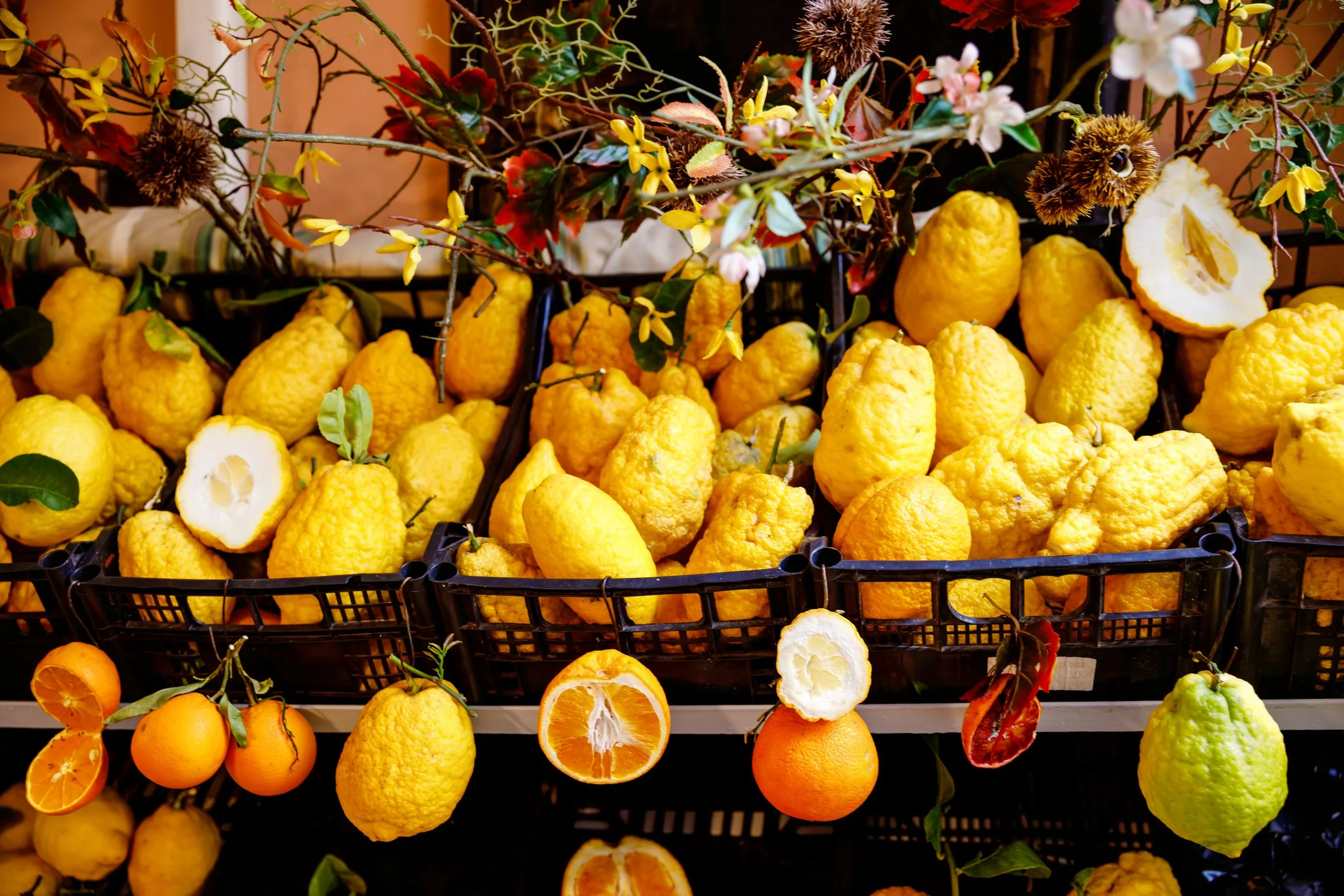 Many citrus plants make seeds that are actually clones of the mother plant
