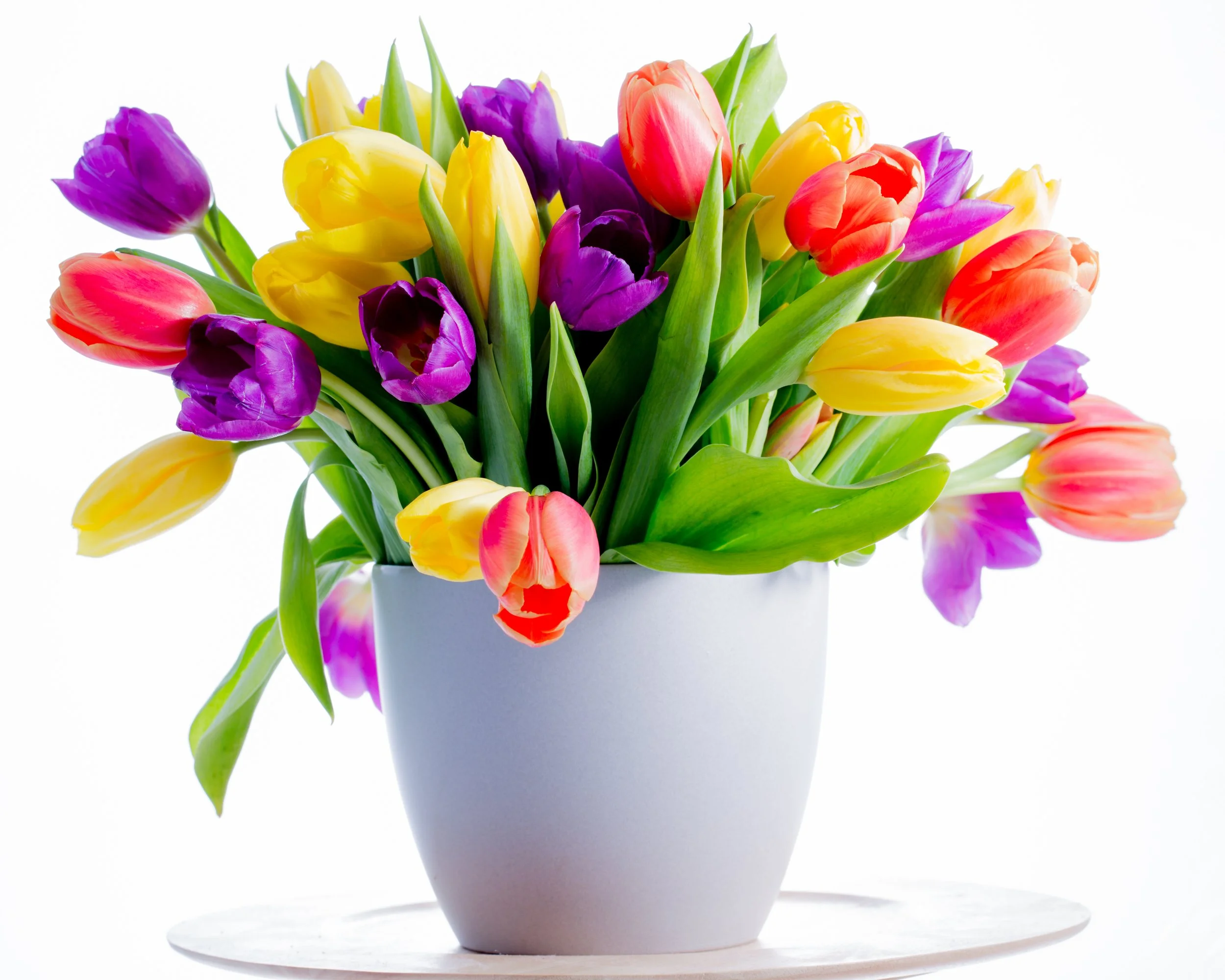 Tulip bulbs can be used instead of onions in cooking