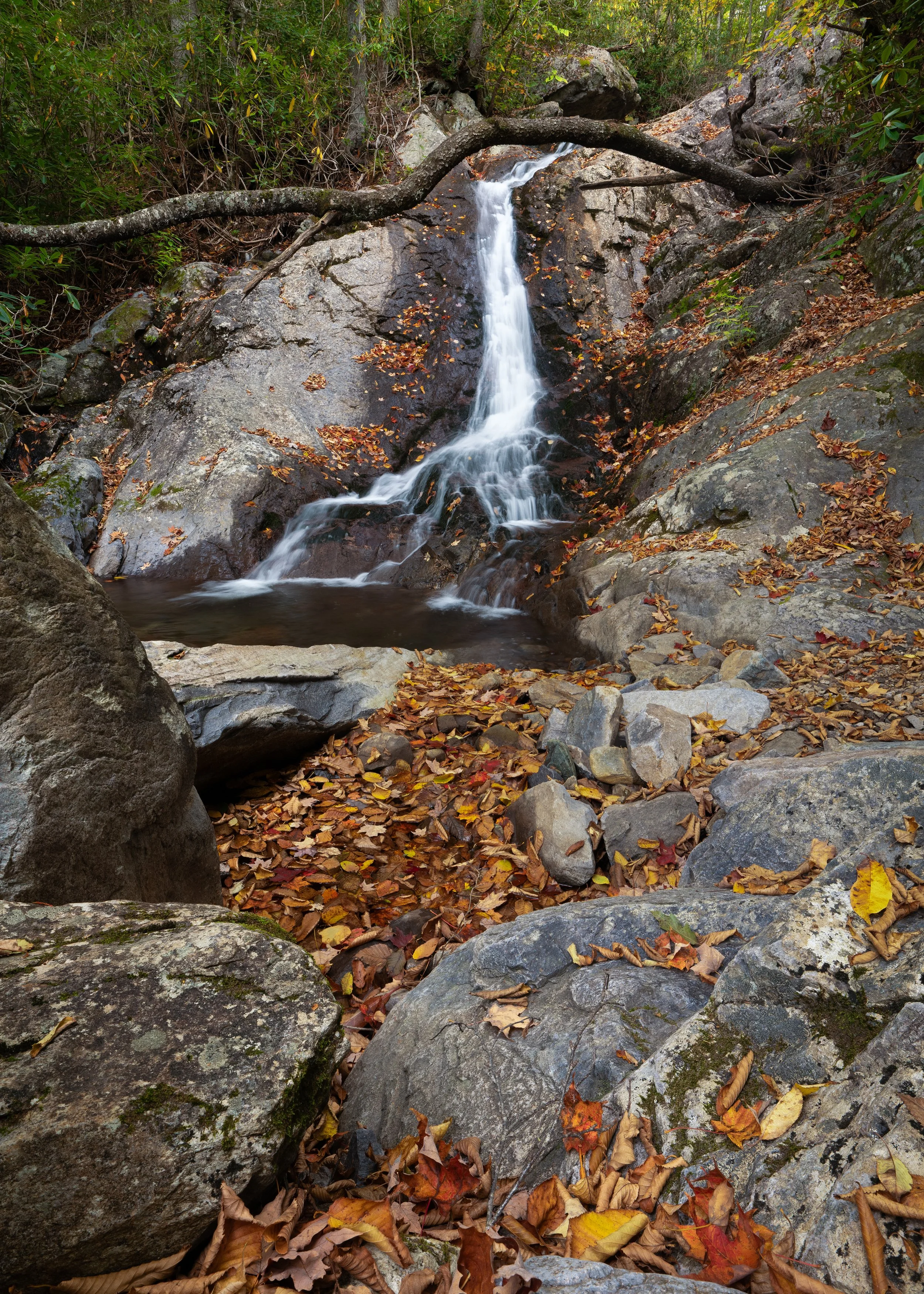 P1137593-Edit.jpg