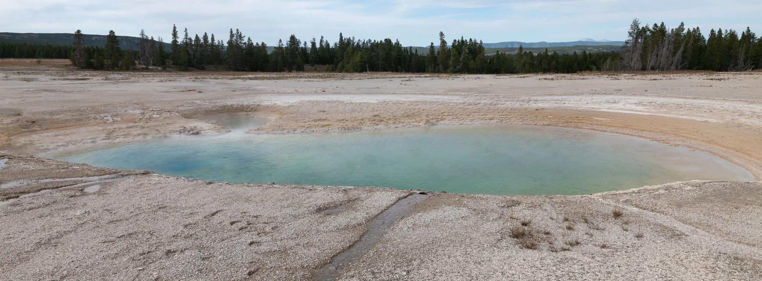 P1126666.jpg
