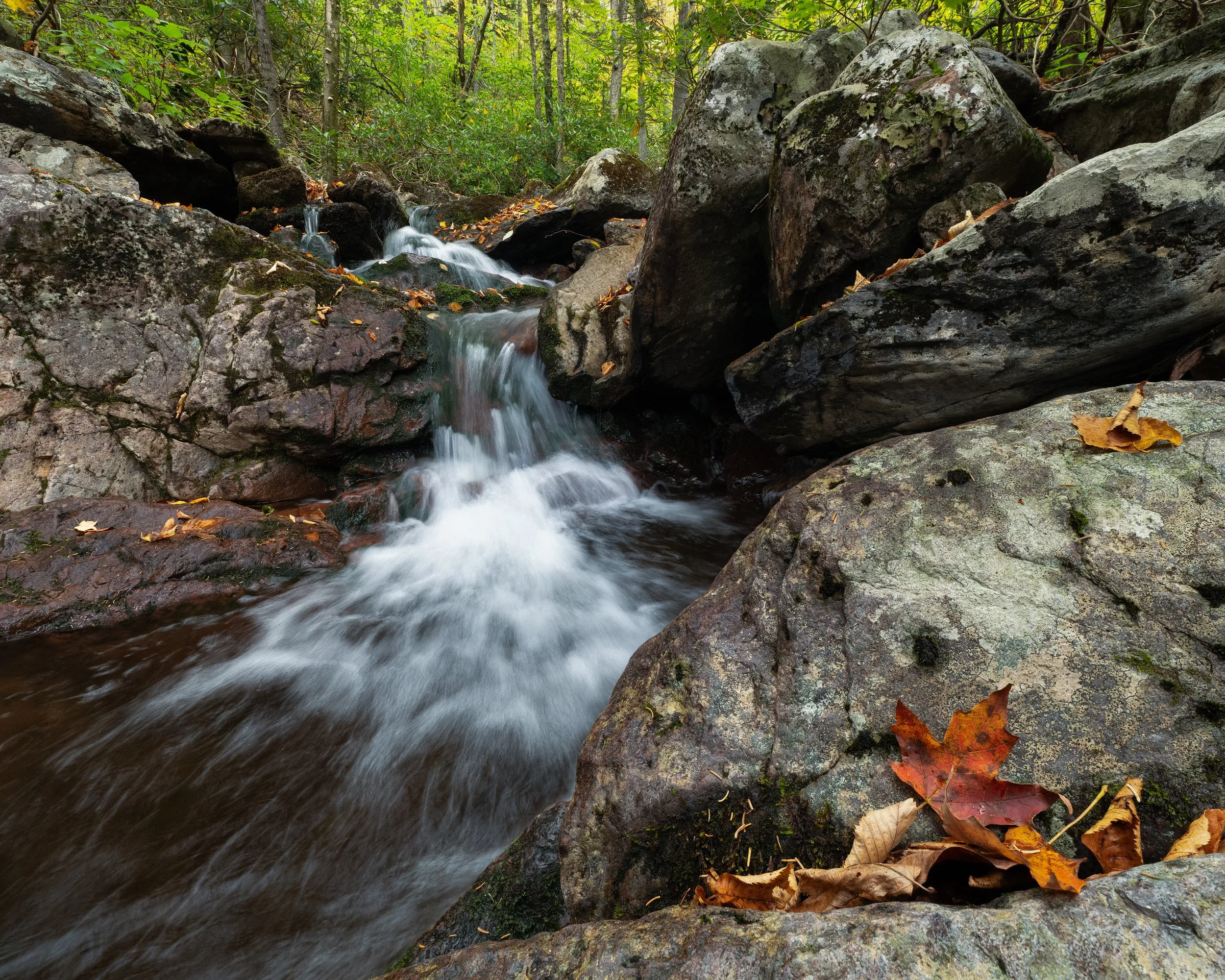 P1137721-Edit.jpg