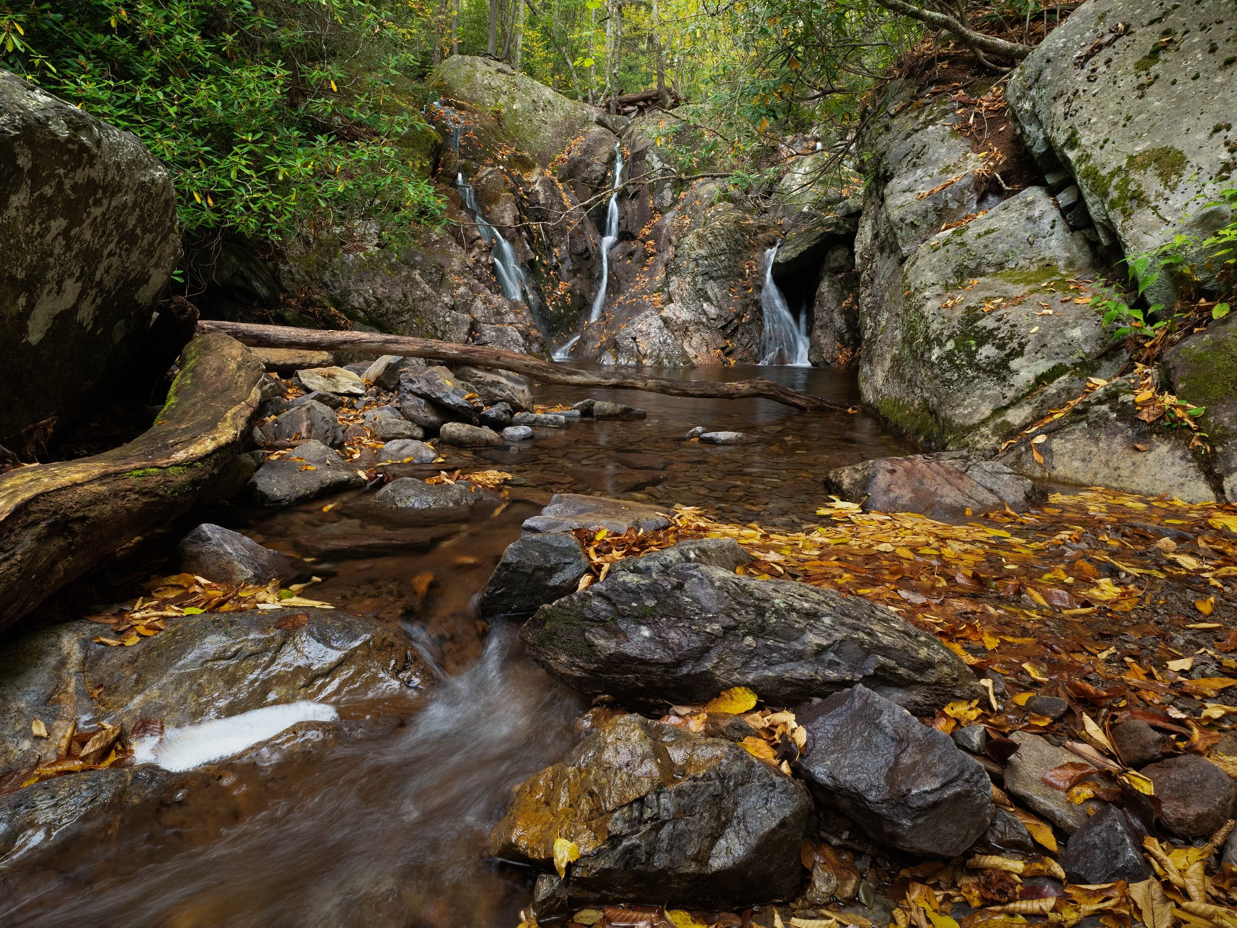 P1137713-Edit.jpg