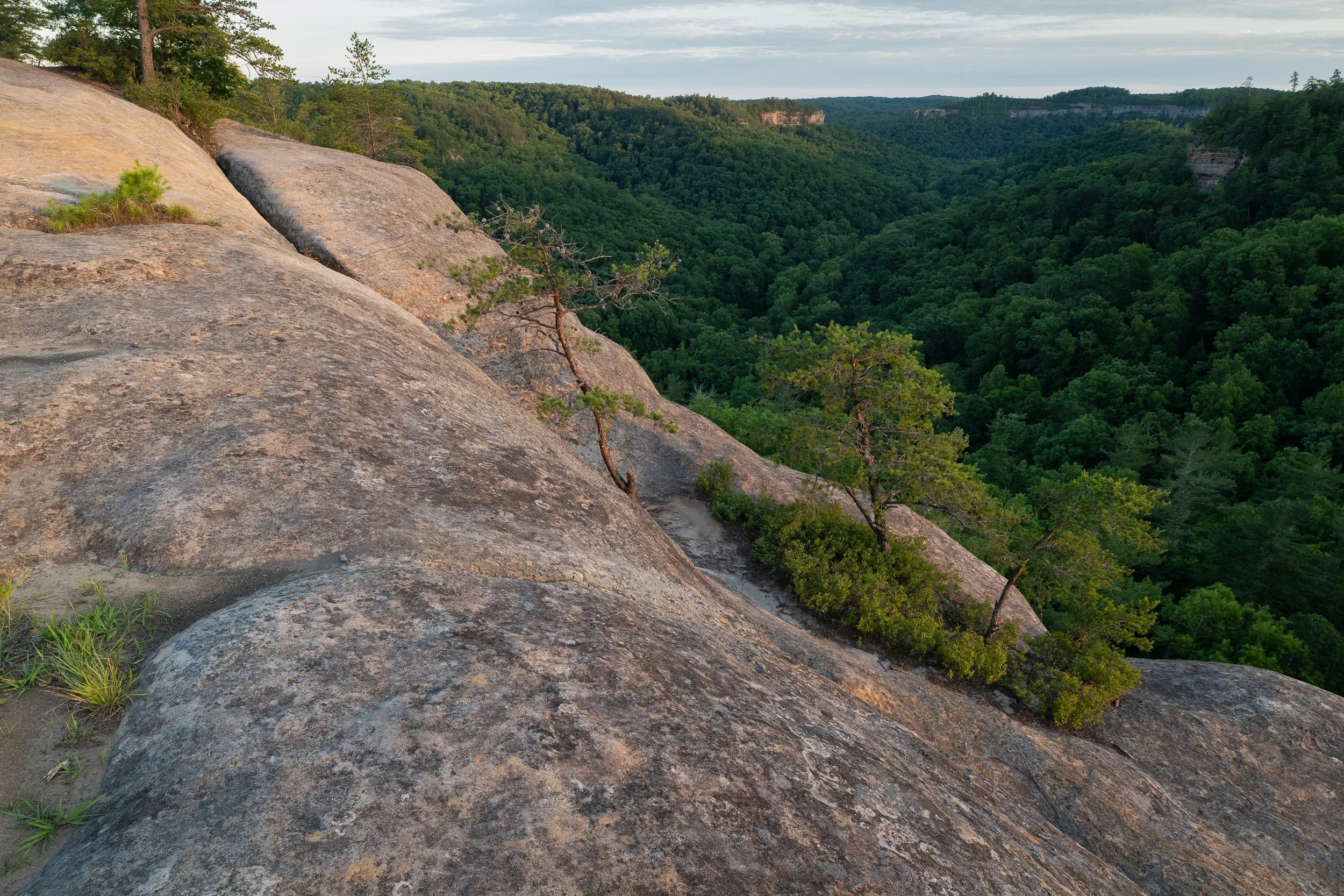 PS1B1456-Edit.jpg