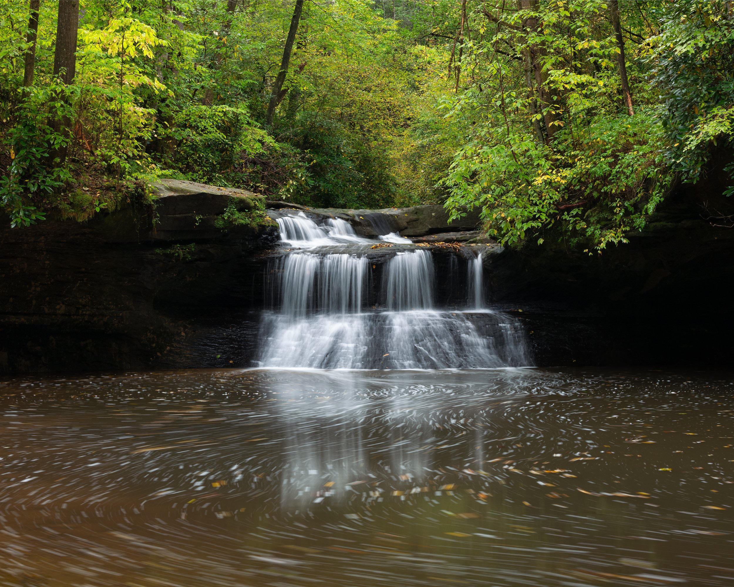 P1137746-Edit.jpg