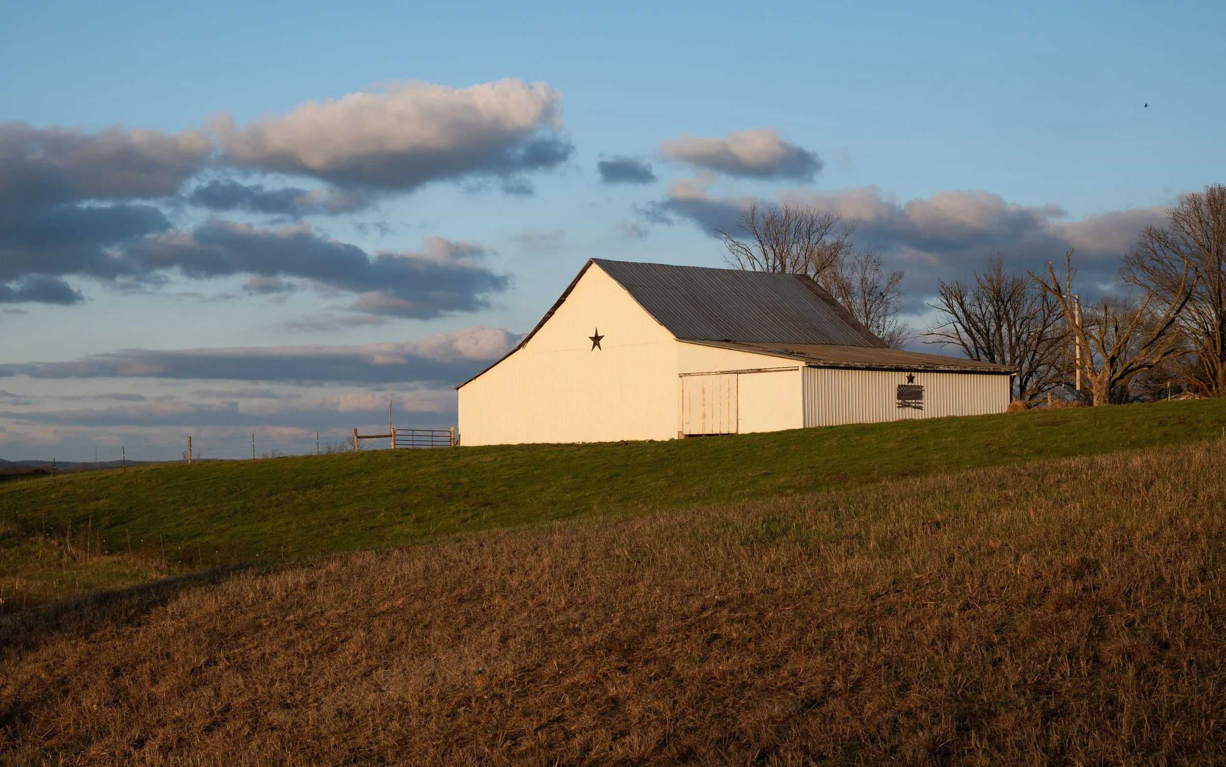 PS1B0481.jpg