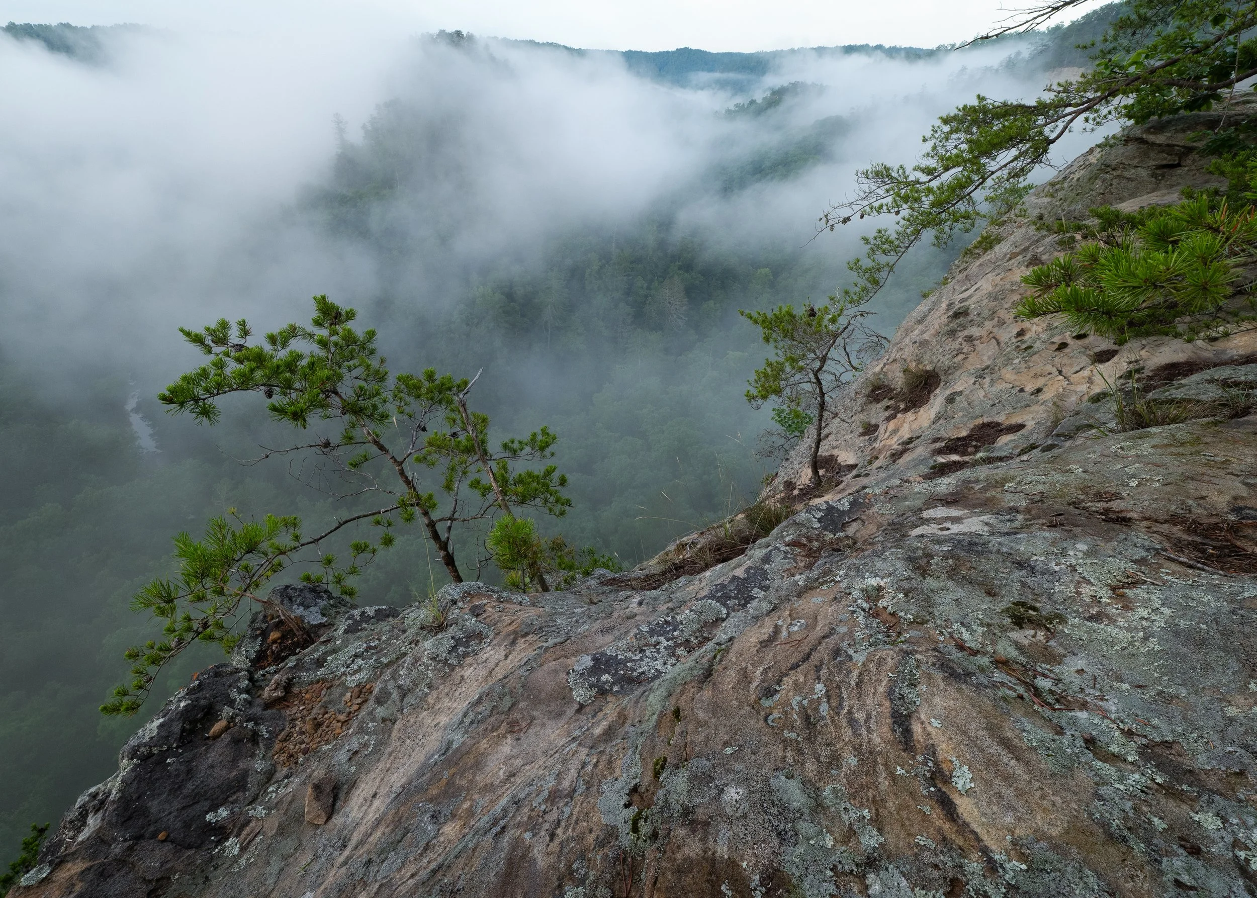 PS1B1336-Edit.jpg