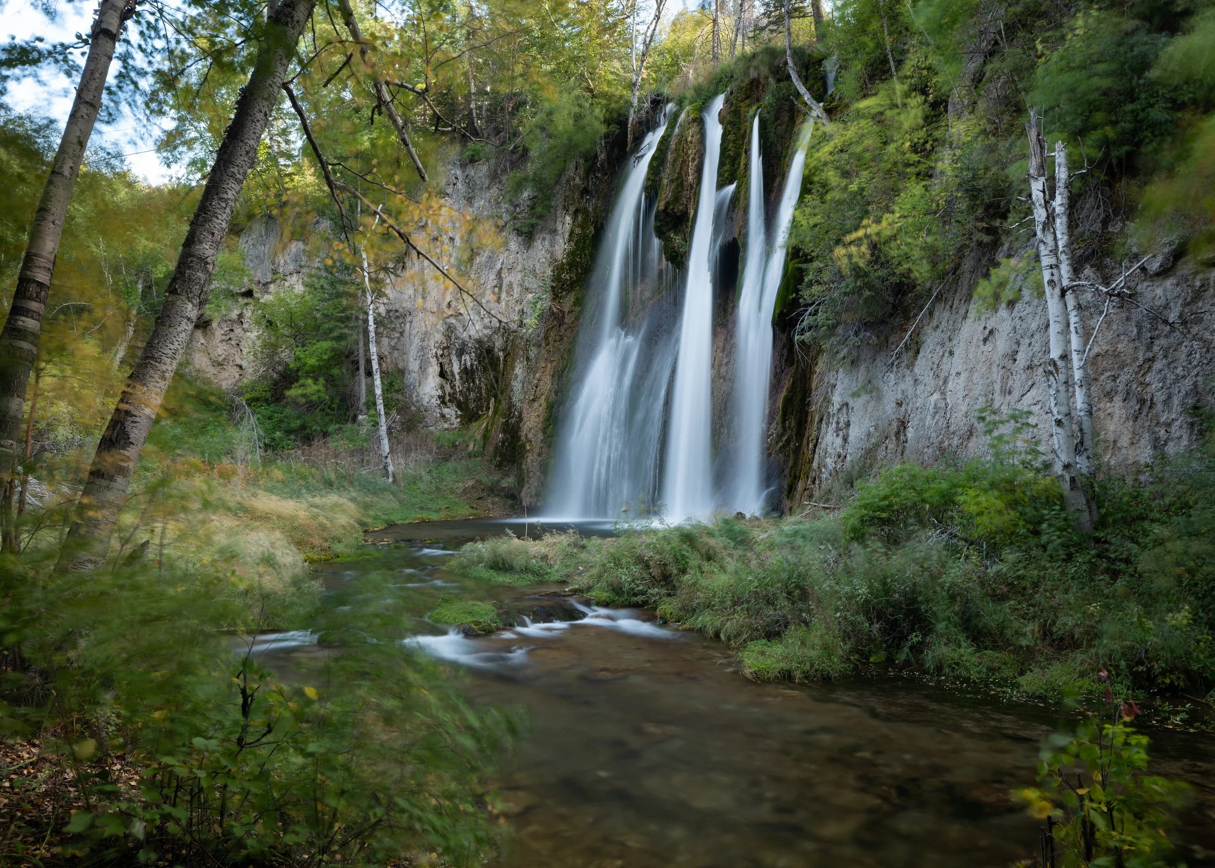 P1137440.jpg