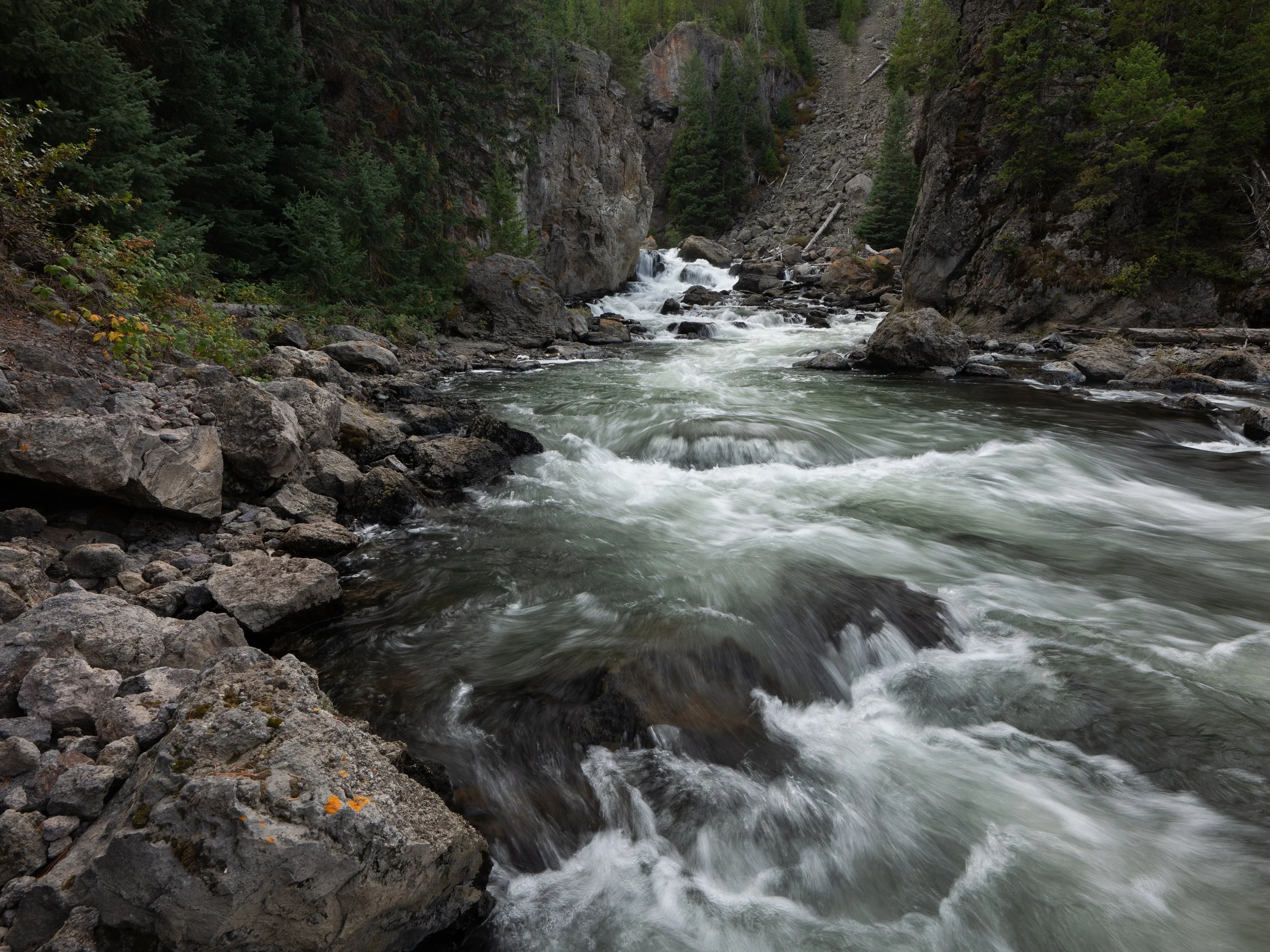 P1126586.jpg