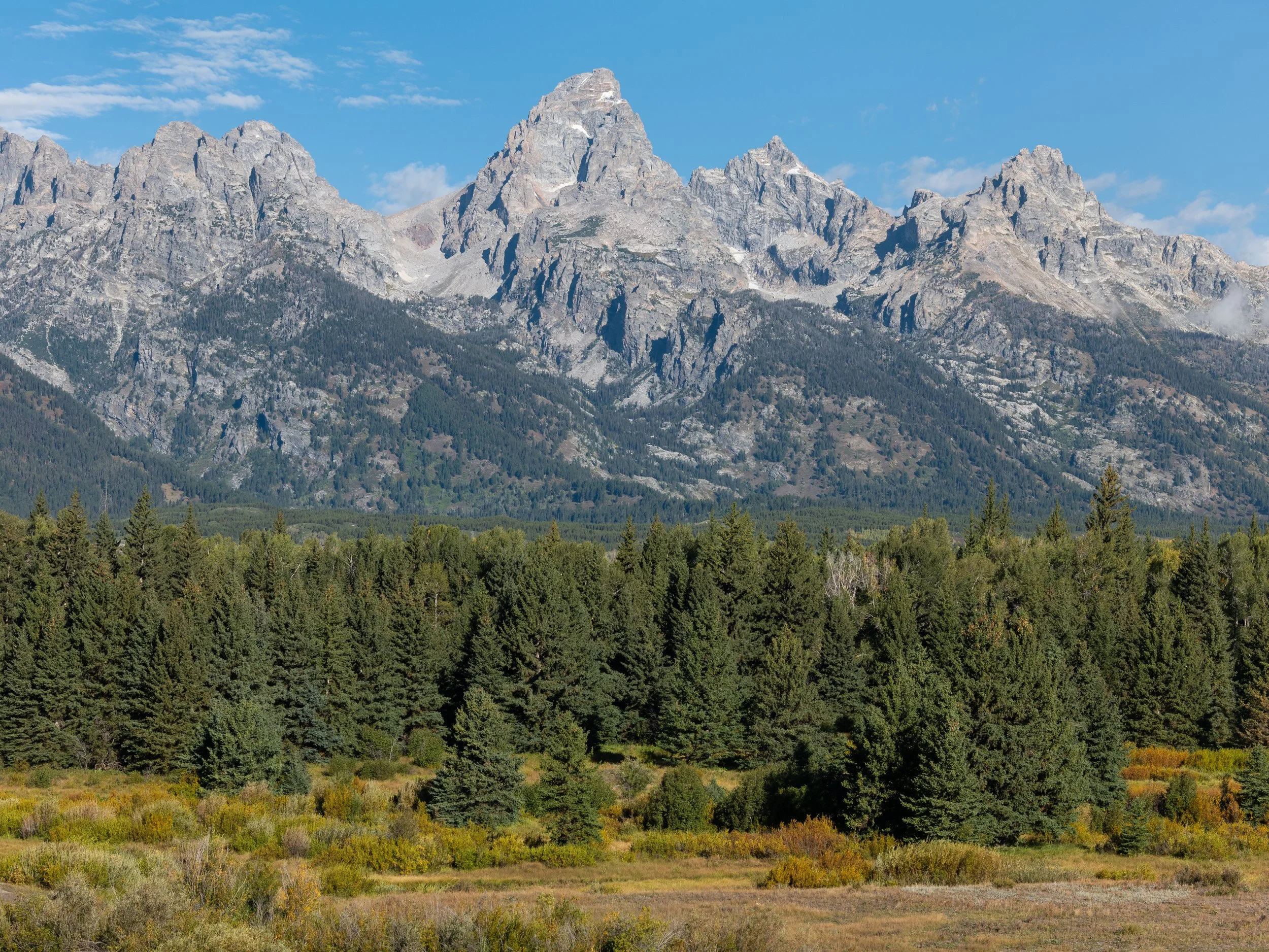 P1126911.jpg