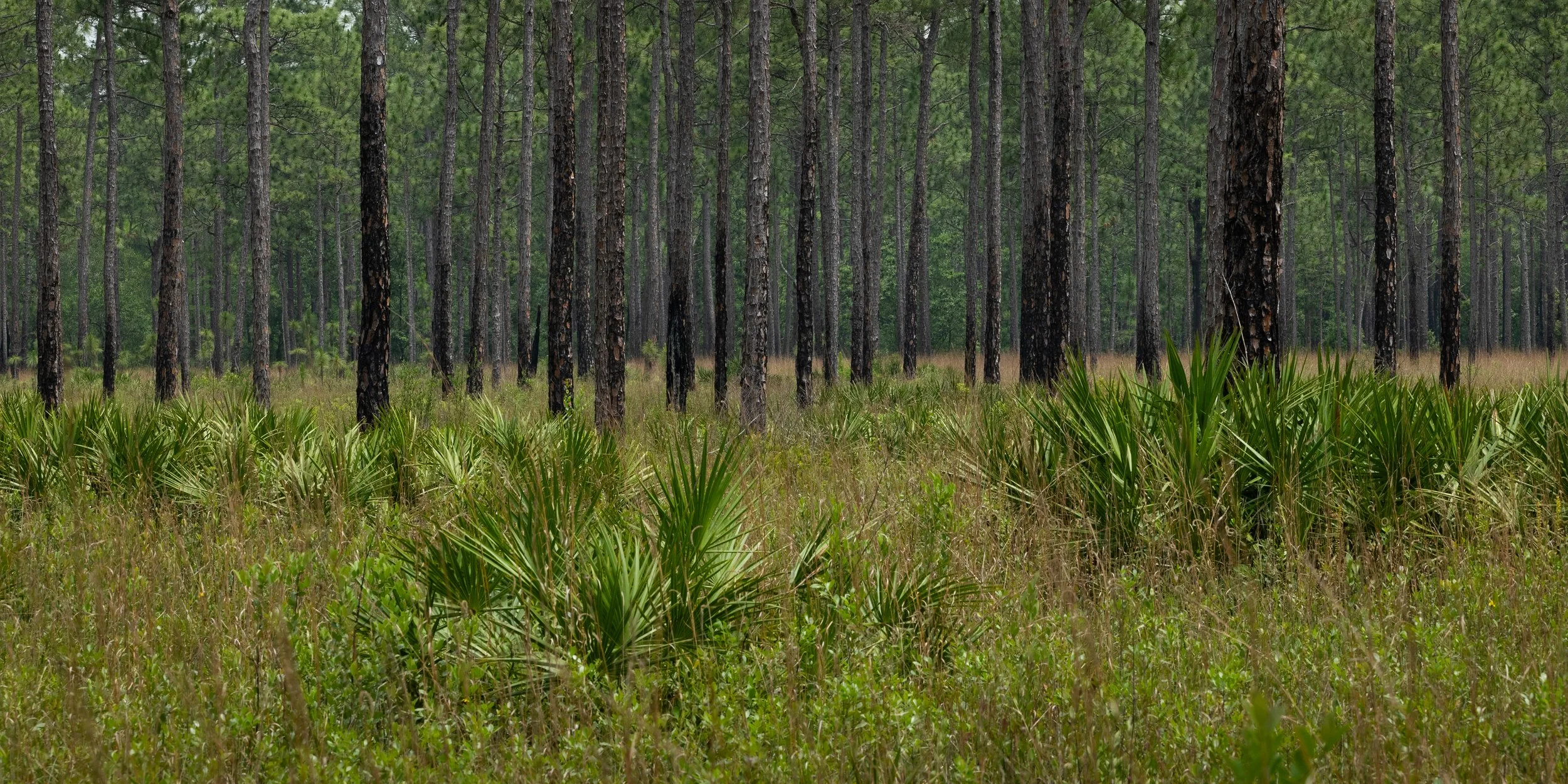 PS1B0928.jpg