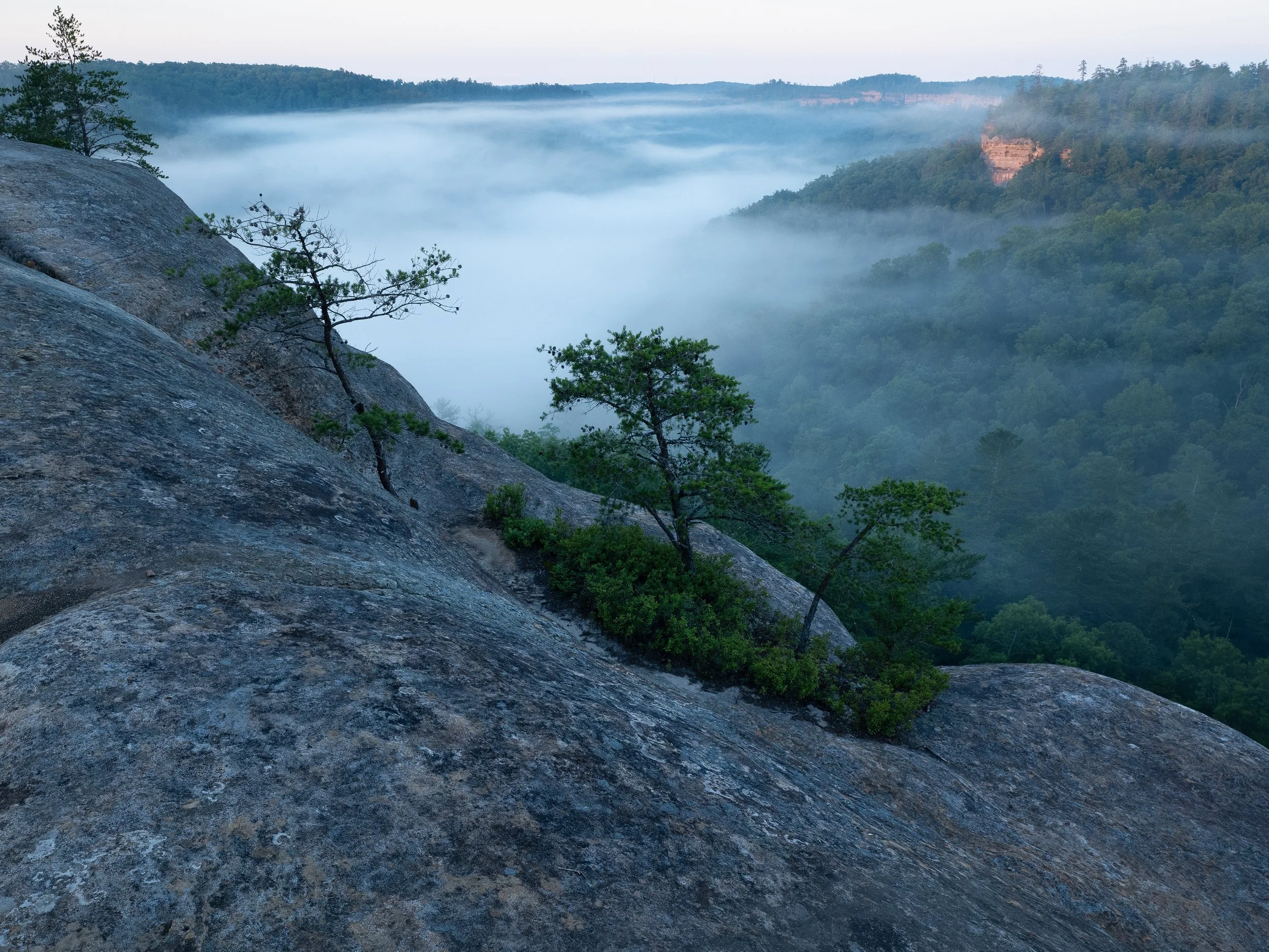 PS1B1530-Edit.jpg