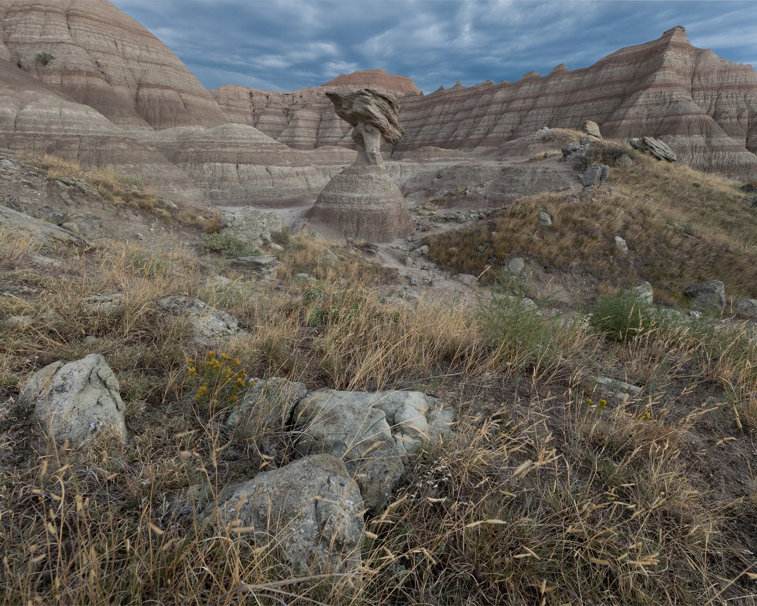 P1137536-Edit.jpg