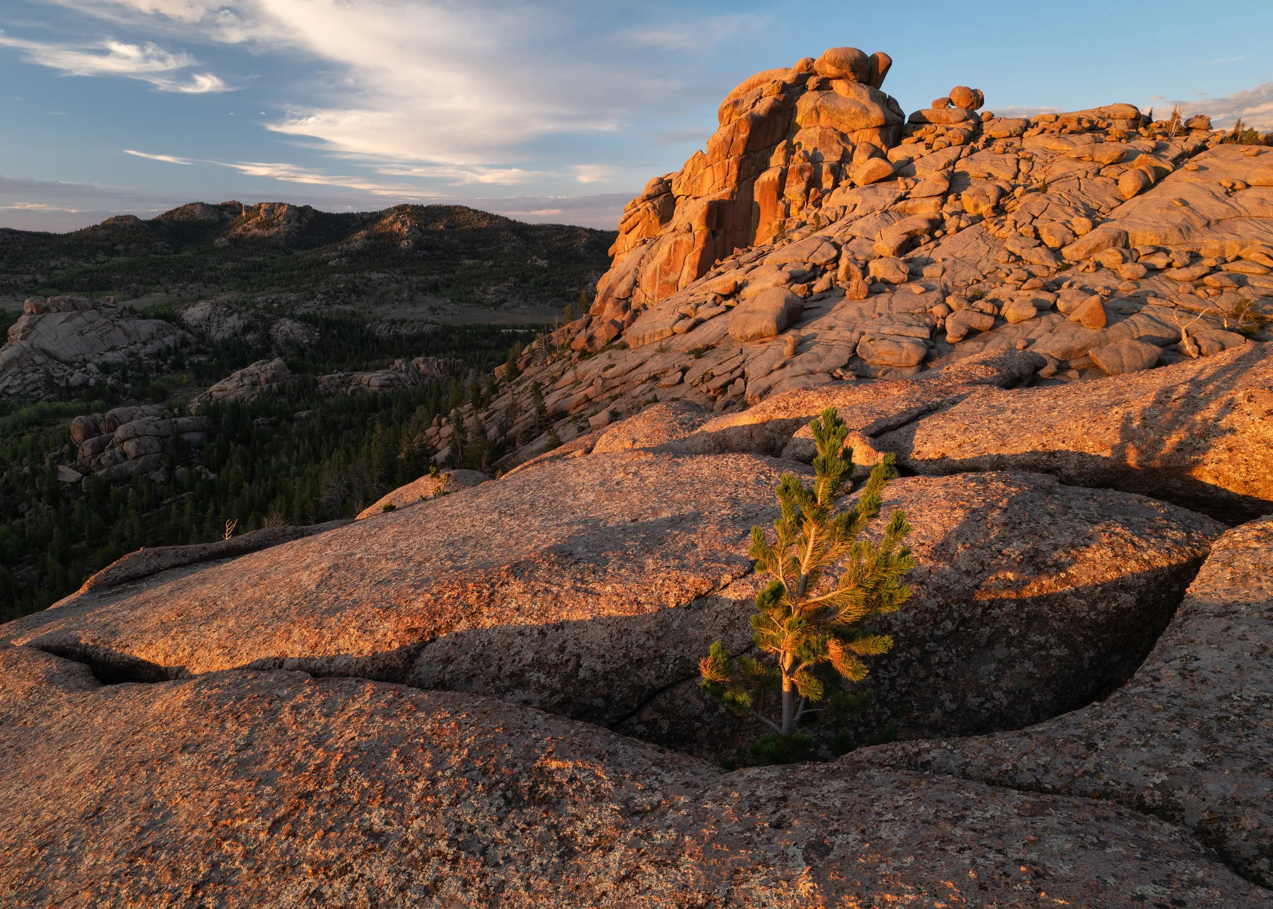 Medicine Bow-Routt Forests