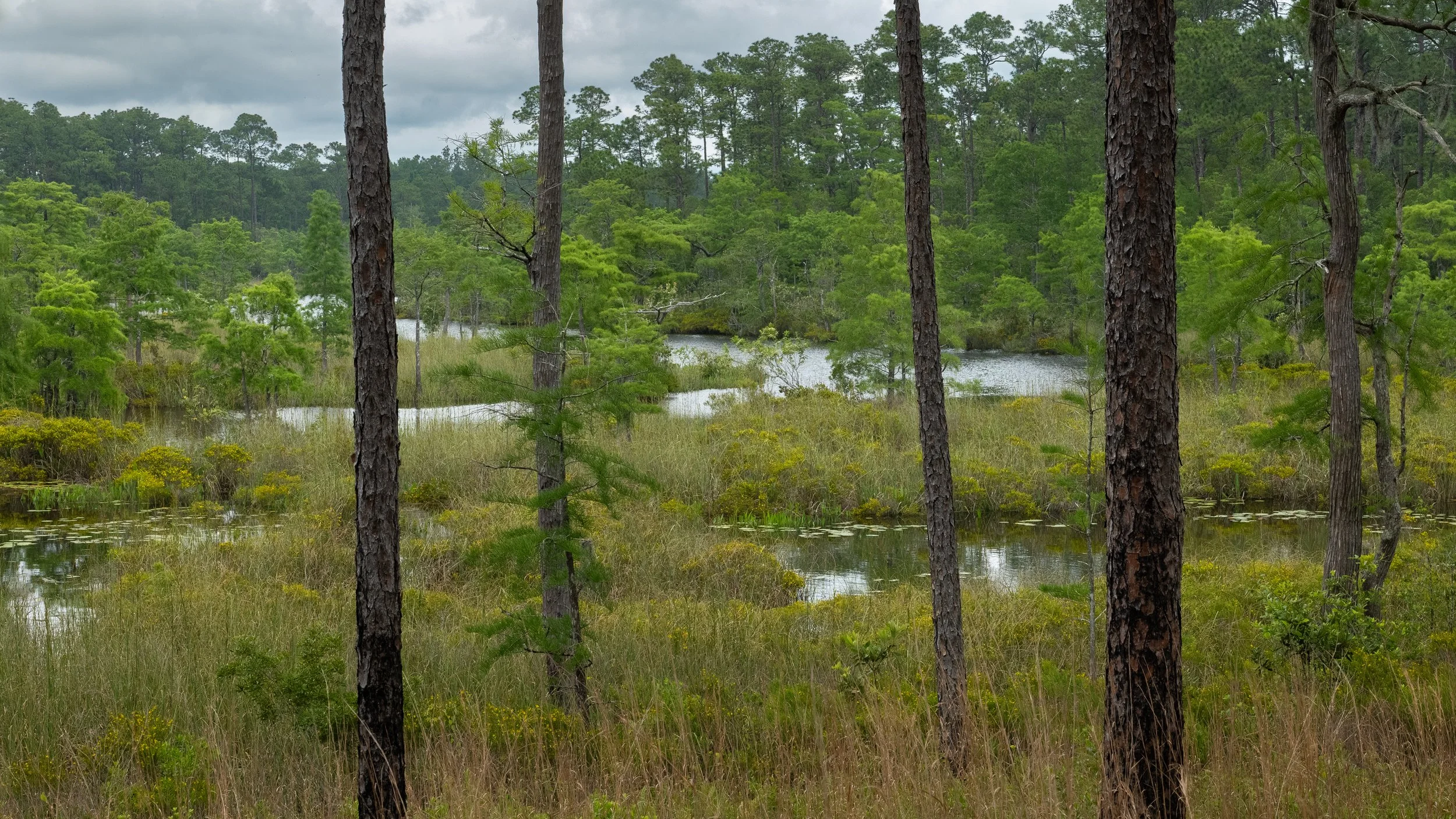 PS1B0917.jpg
