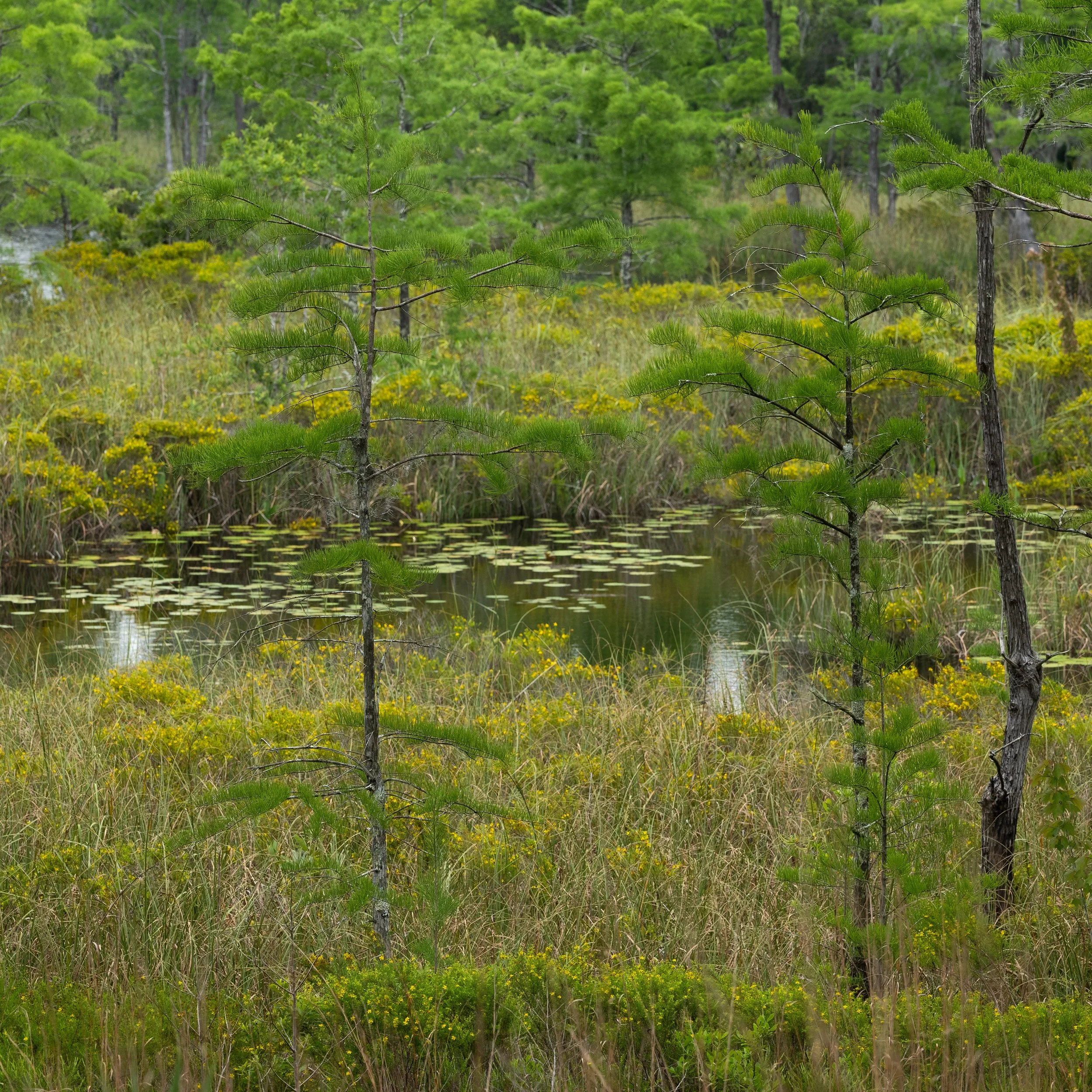 PS1B0921.jpg