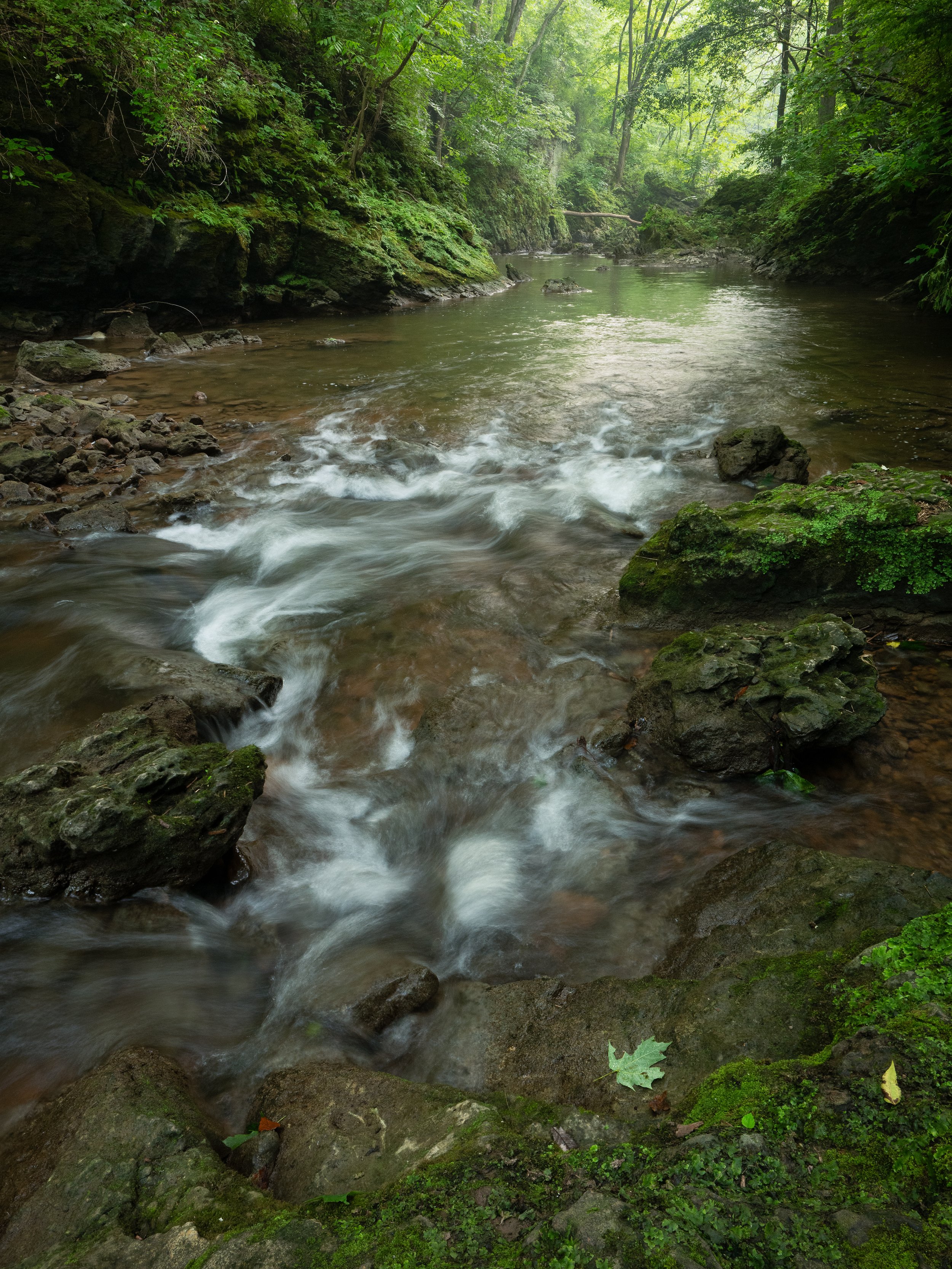 P1125272-Edit.jpg