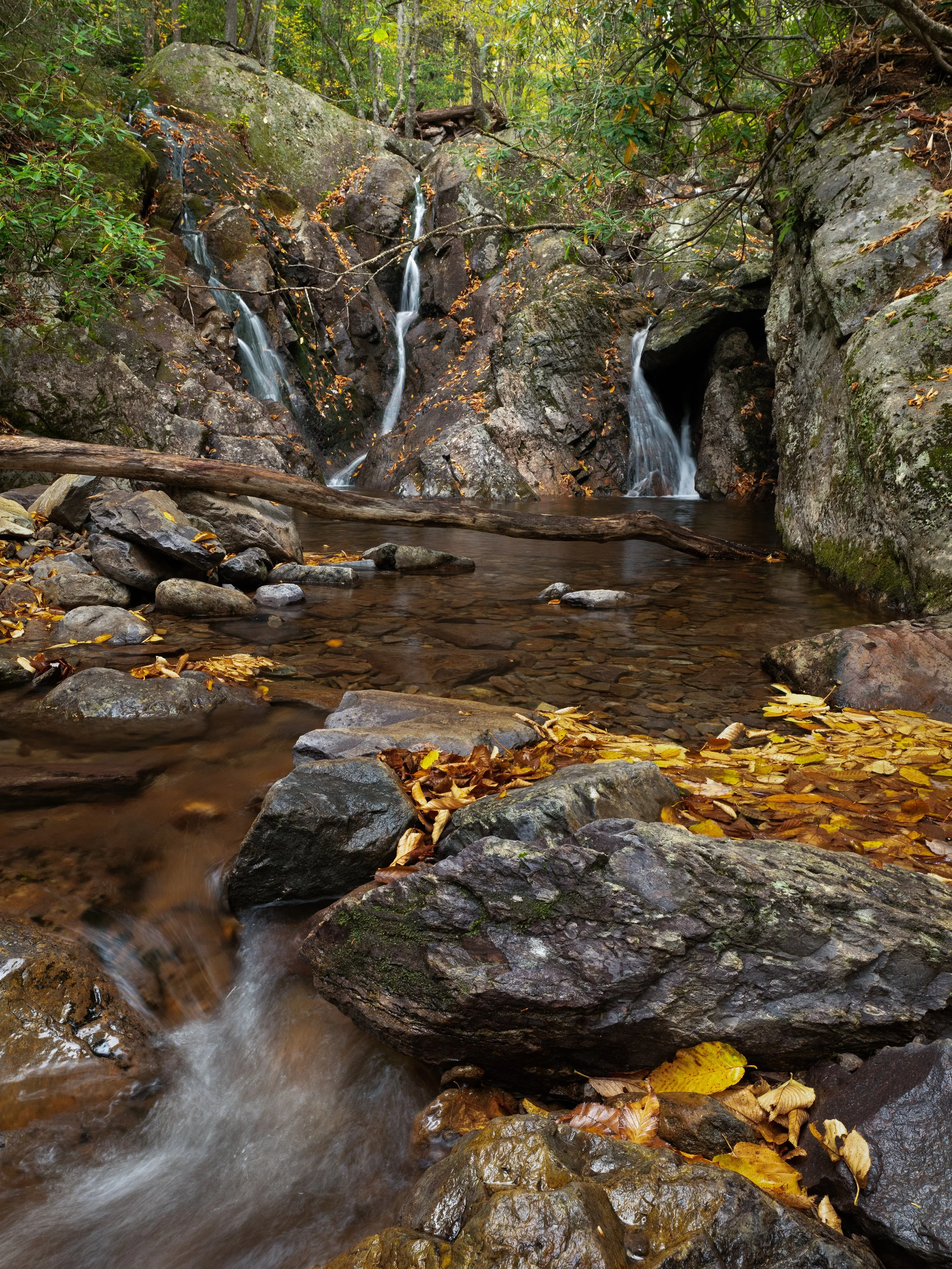 P1137718-Edit.jpg
