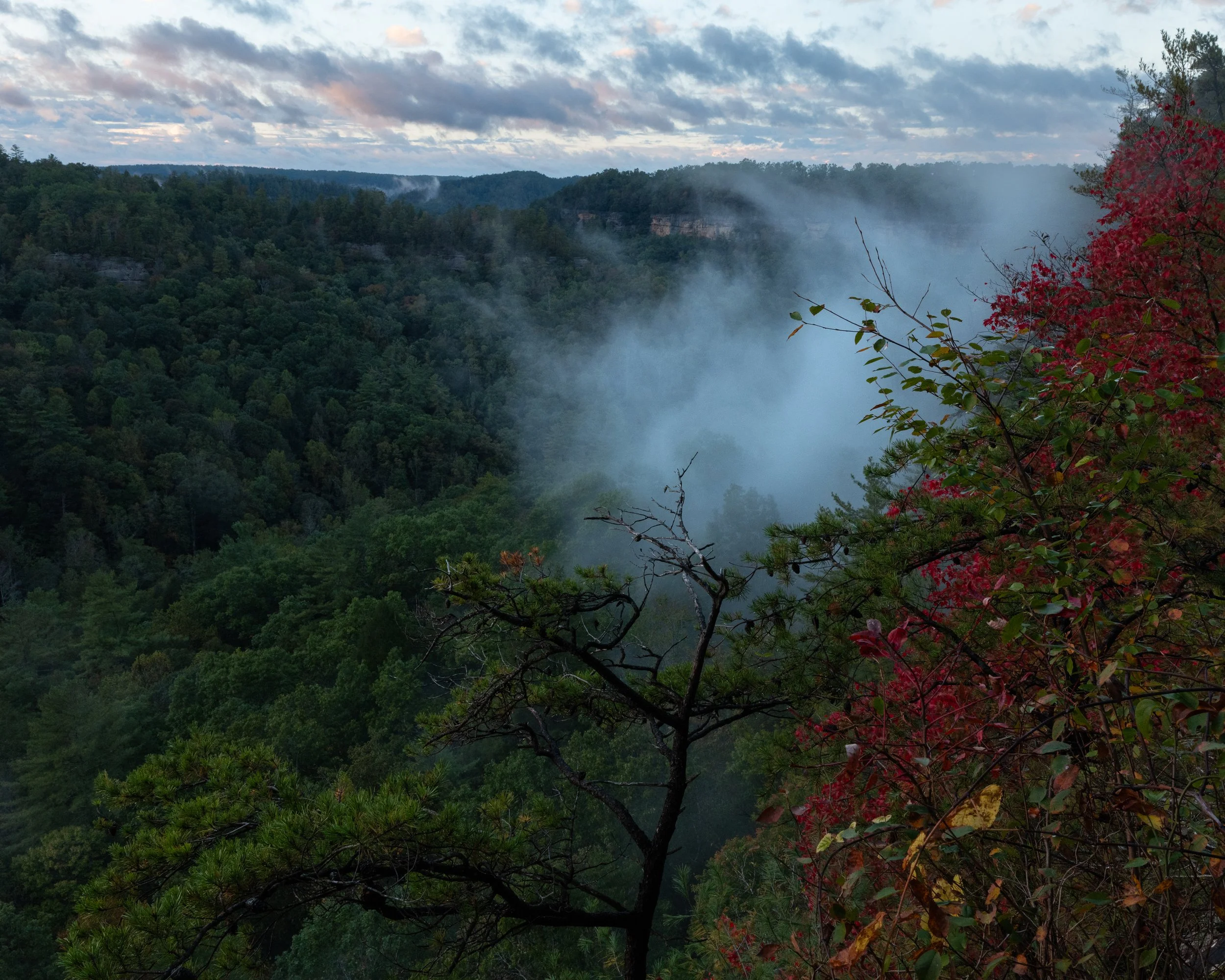 P1137777.jpg