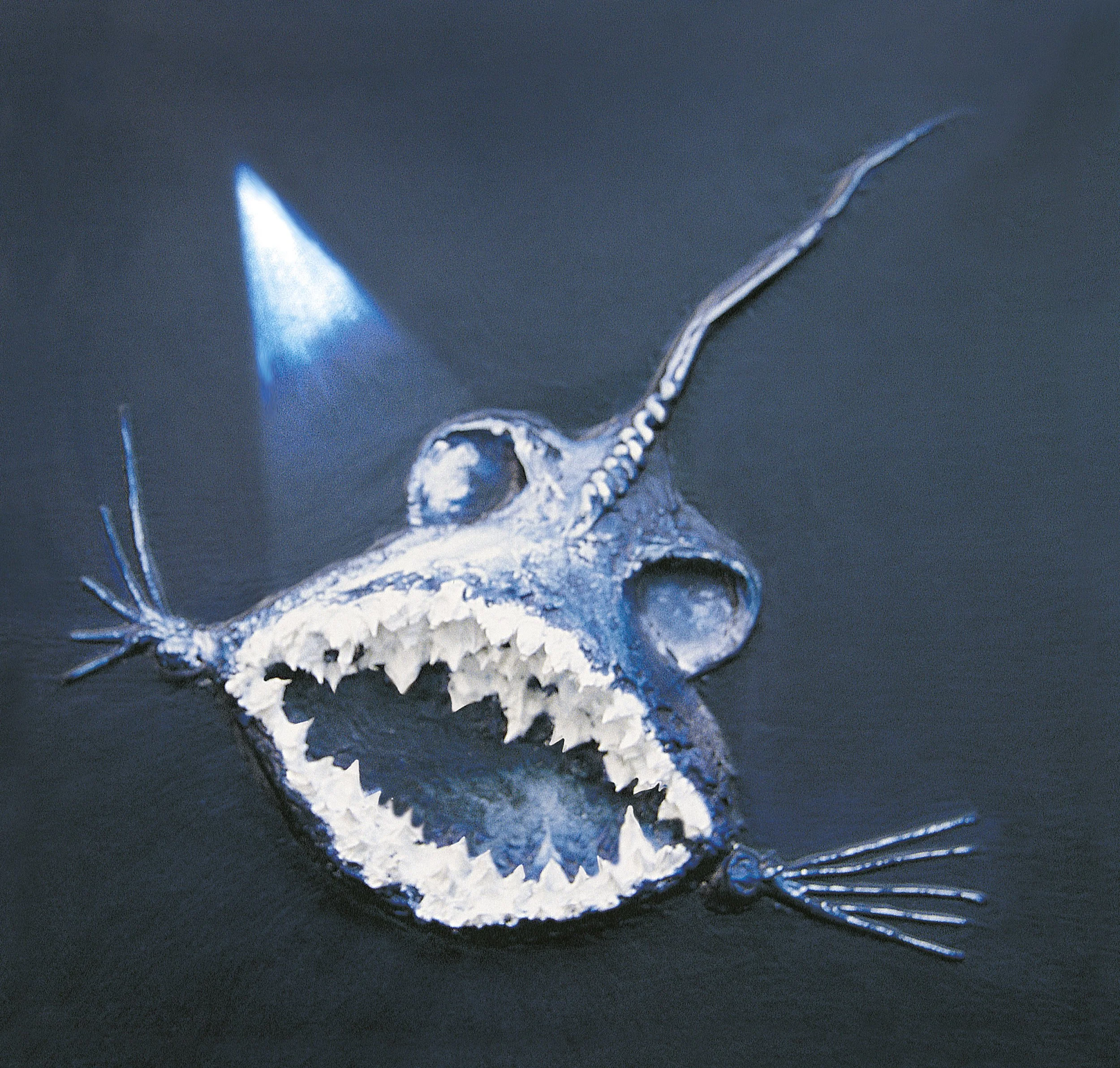 Boo! : 2000 : Oils and Medium on Board : 40cm x 40cm : Collection of S & S Maynard