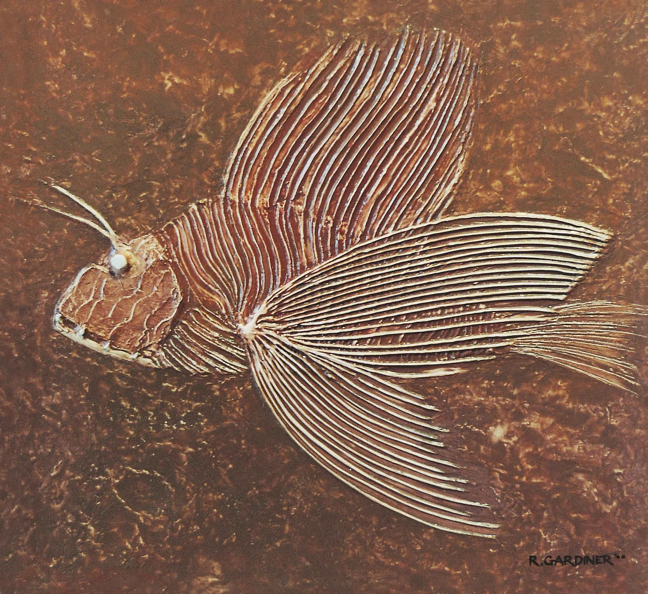 Stoned Fish : 2000 : Oil on Board : 50cm x 50cm : Collection of Mrs C Wall