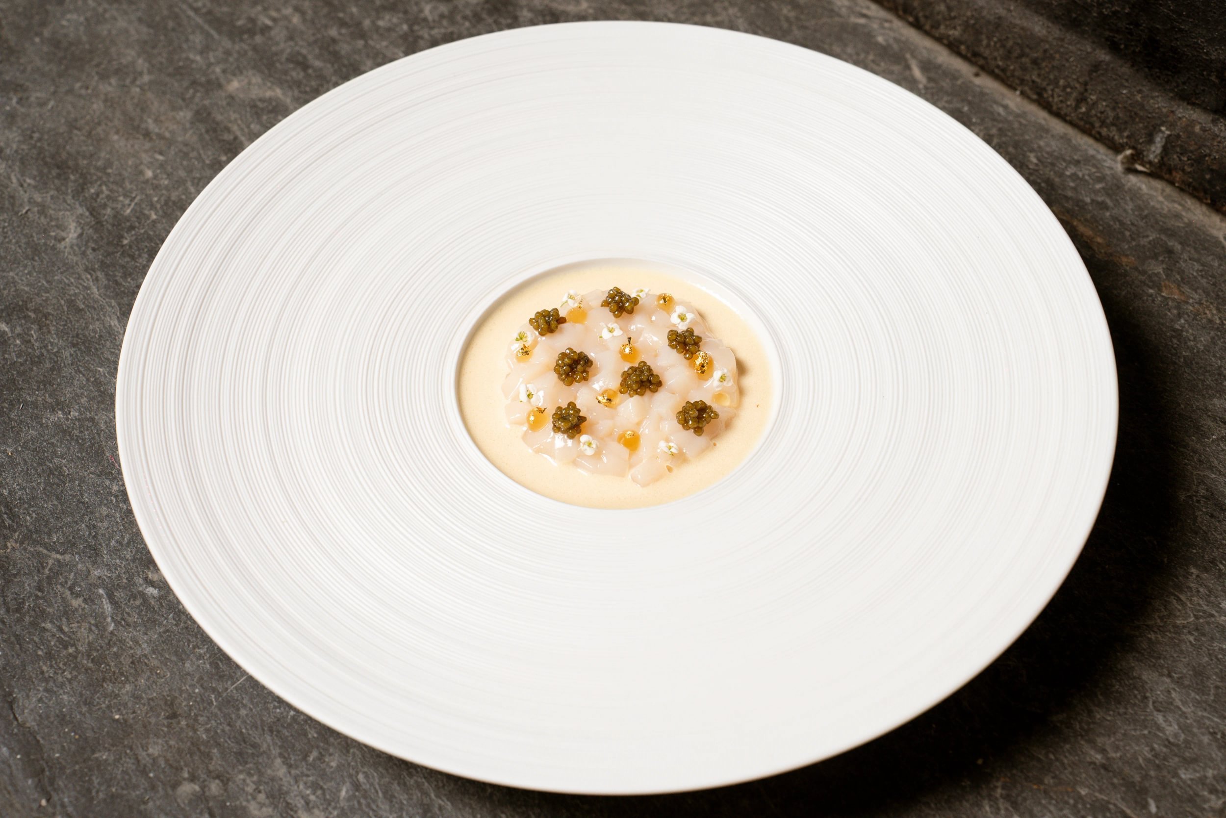 SCALLOP-walnut-caviar_acleaf_summer26-10 - Large.jpg