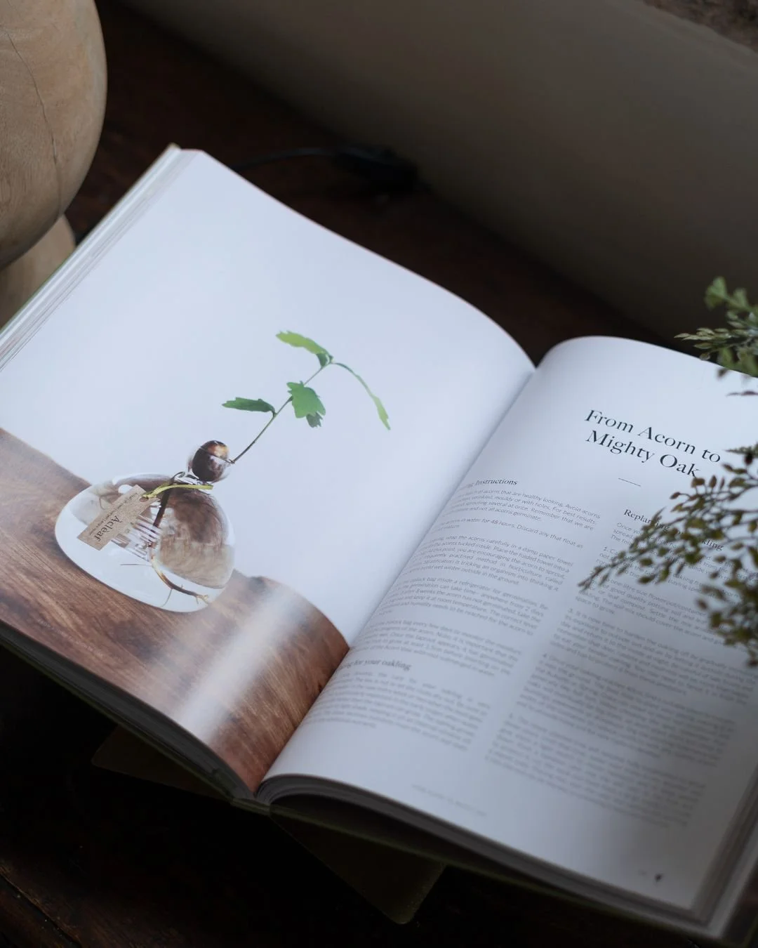 Discover the artistry behind the iconic menu 🌟

Join us for the &Agrave;cl&egrave;af x The &Agrave;cl&egrave;af Book Menu: a four-course MICHELIN-starred tasting experience, plus petit fours and cheese course, inspired by the recipes and philosophy 