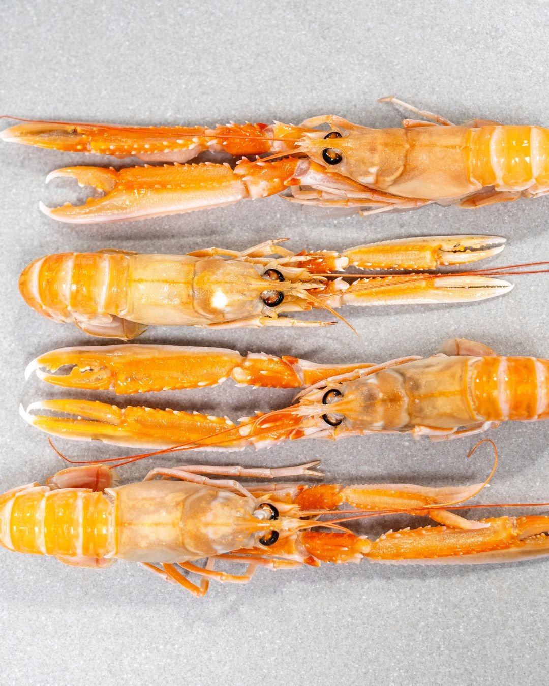 Behind every exceptional dish at &Agrave;cl&egrave;af is a chorus of supporting flavours.

Here in our TURBOT langoustine, green chilli dish, it&rsquo;s the gentle sweetness of langoustine that enhances the savoury depth of Turbot and green chilli.

