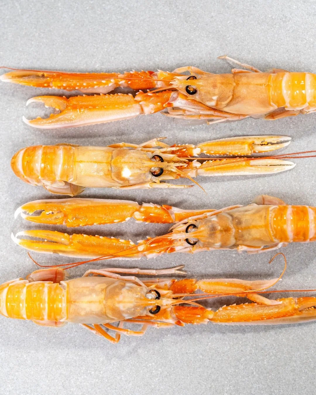 Behind every exceptional dish at &Agrave;cl&egrave;af is a chorus of supporting flavours.

Here in our TURBOT langoustine, green chilli dish, it&rsquo;s the gentle sweetness of langoustine that enhances the savoury depth of Turbot and green chilli.

