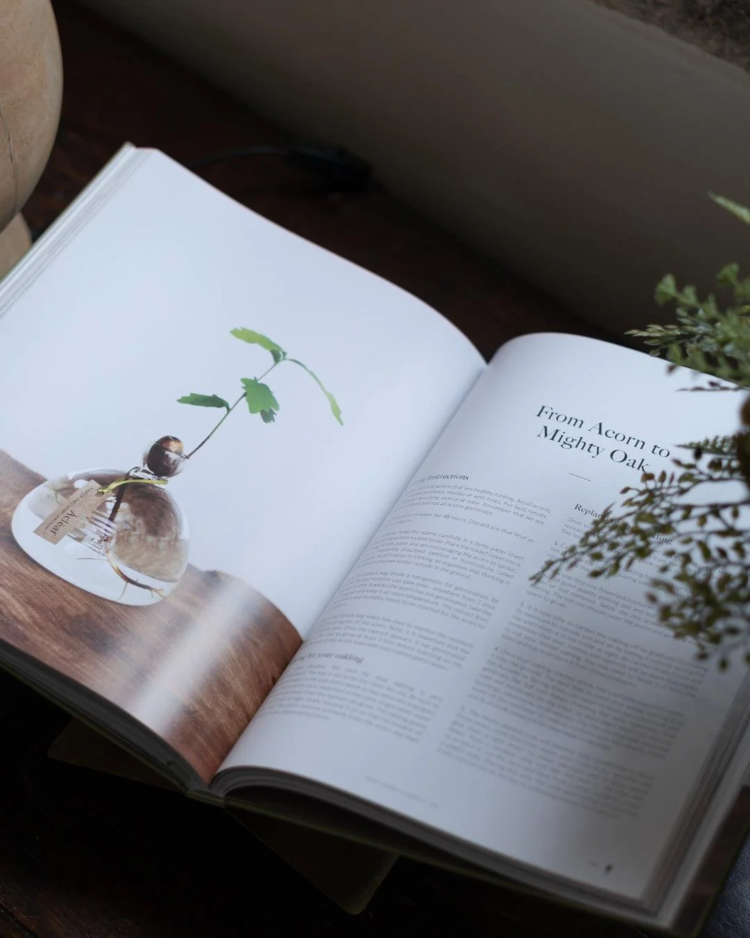 A story worth savouring...

Every page tells the story behind &Agrave;cl&egrave;af, from the evolution of signature dishes to the people, produce and passion that shaped the restaurant into the MICHELIN-starred experience it is today. A beautifully c