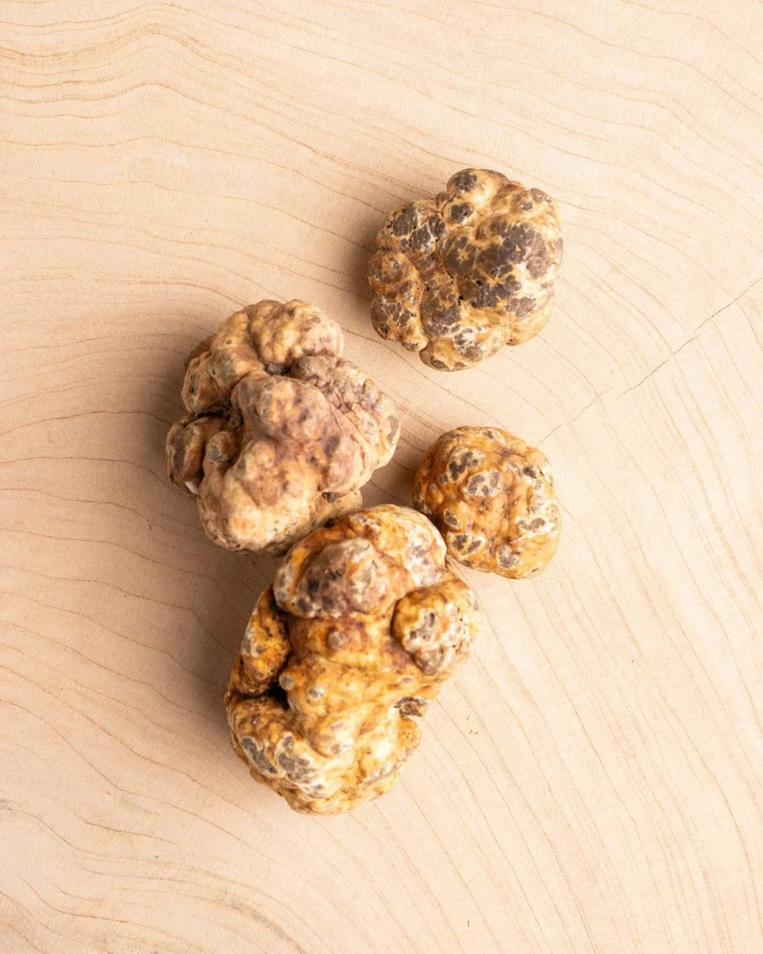 White Spring Truffles have arrived at &Agrave;cl&egrave;af

Known as Tuber Borchii or &ldquo;Biancetto&rdquo;, these delicate little truffles bring a softer, more refined aroma to the season, elegant, earthy and beautifully balanced. Sourced from @th