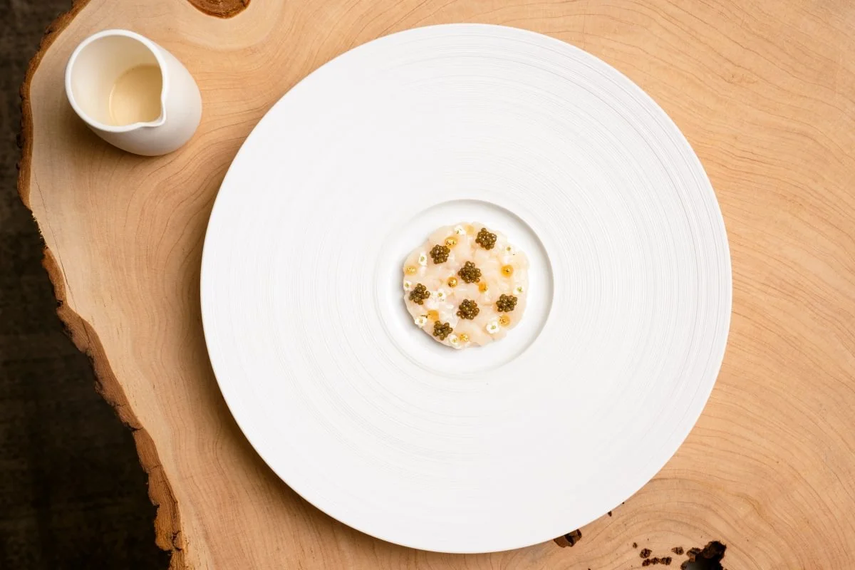 SCALLOP-walnut-caviar_acleaf_summer26-3 - Medium.jpg